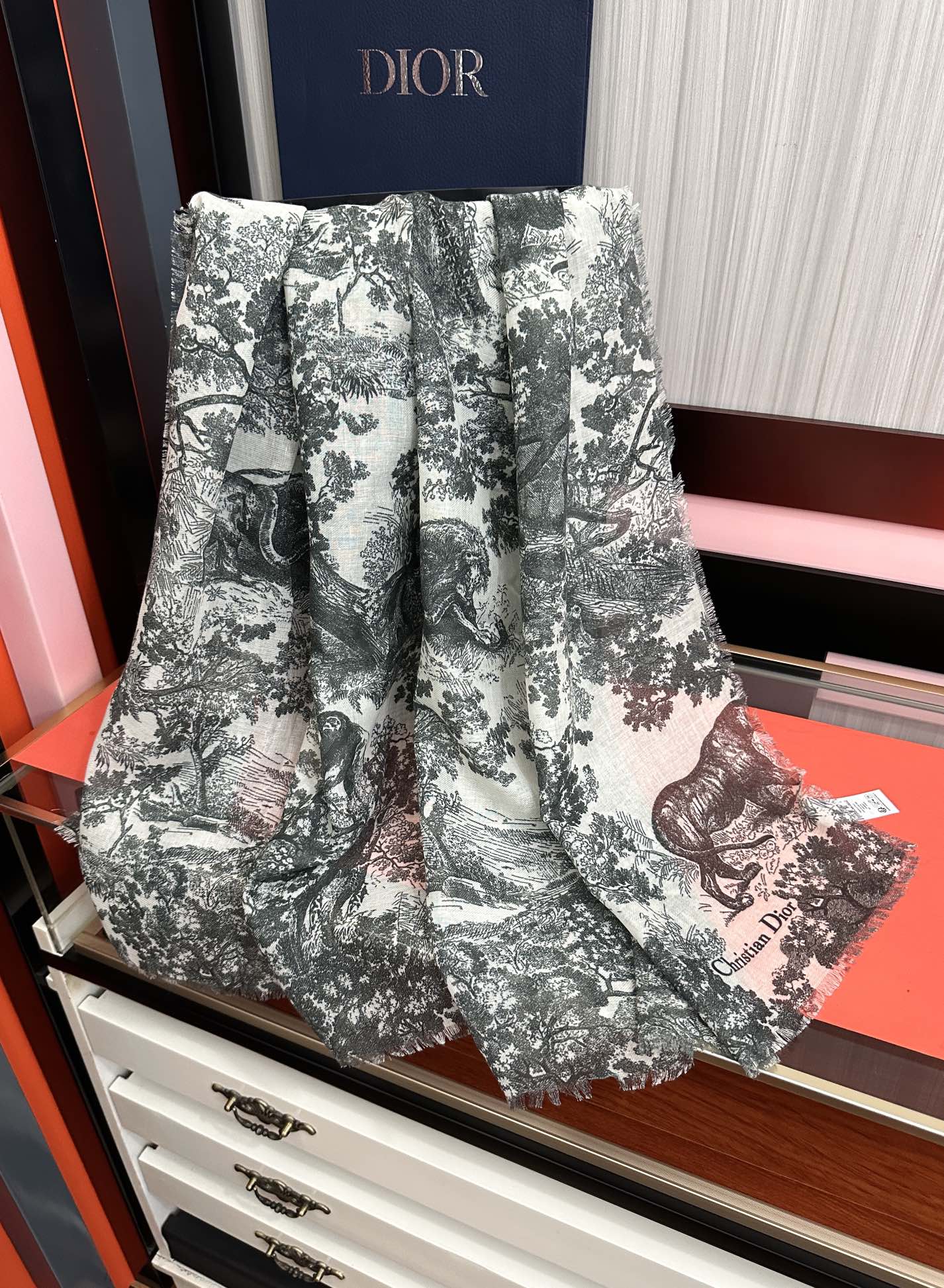 Dior scarf