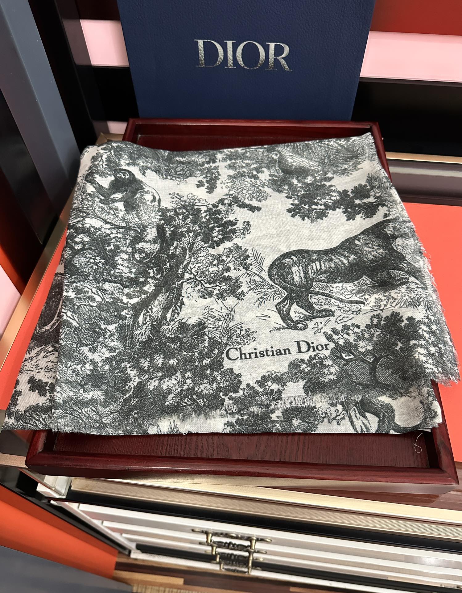 Dior scarf