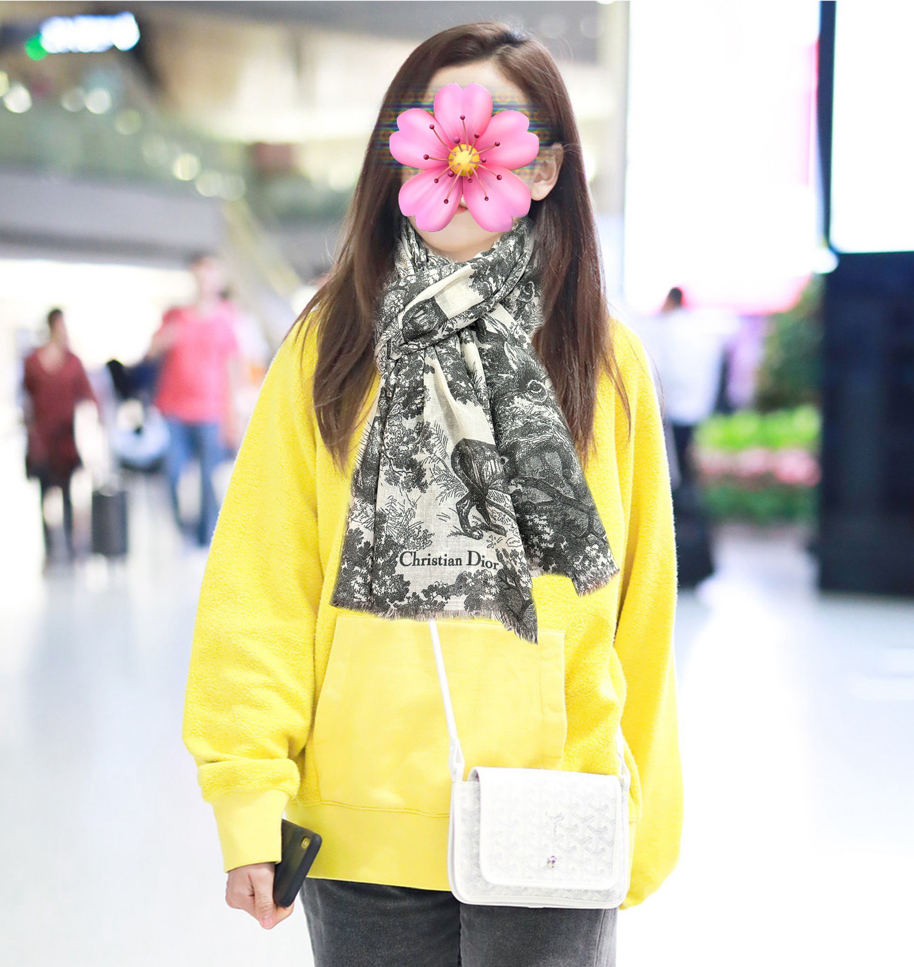 Dior scarf