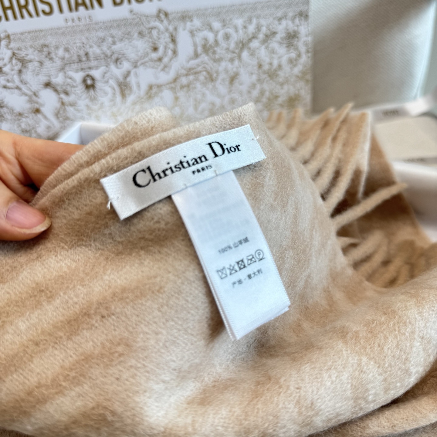 Dior scarf