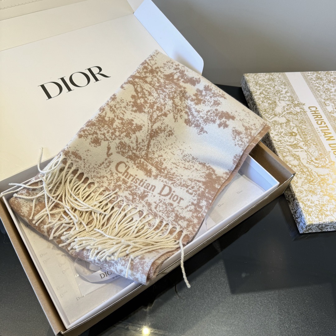 Dior scarf