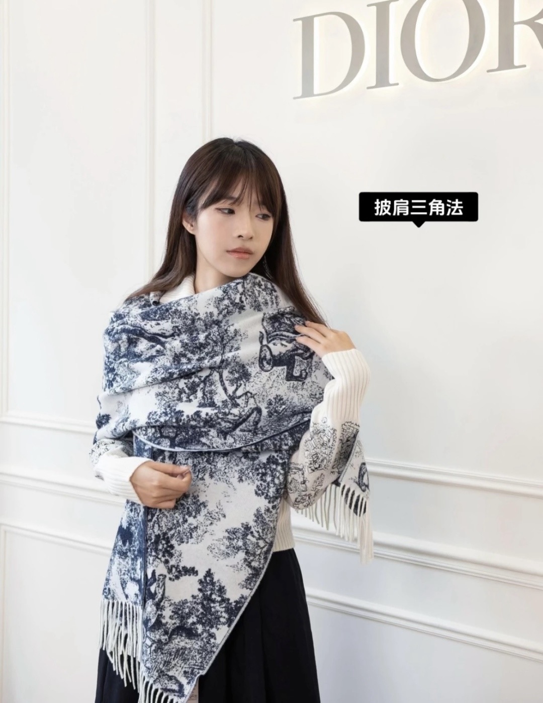 Dior scarf