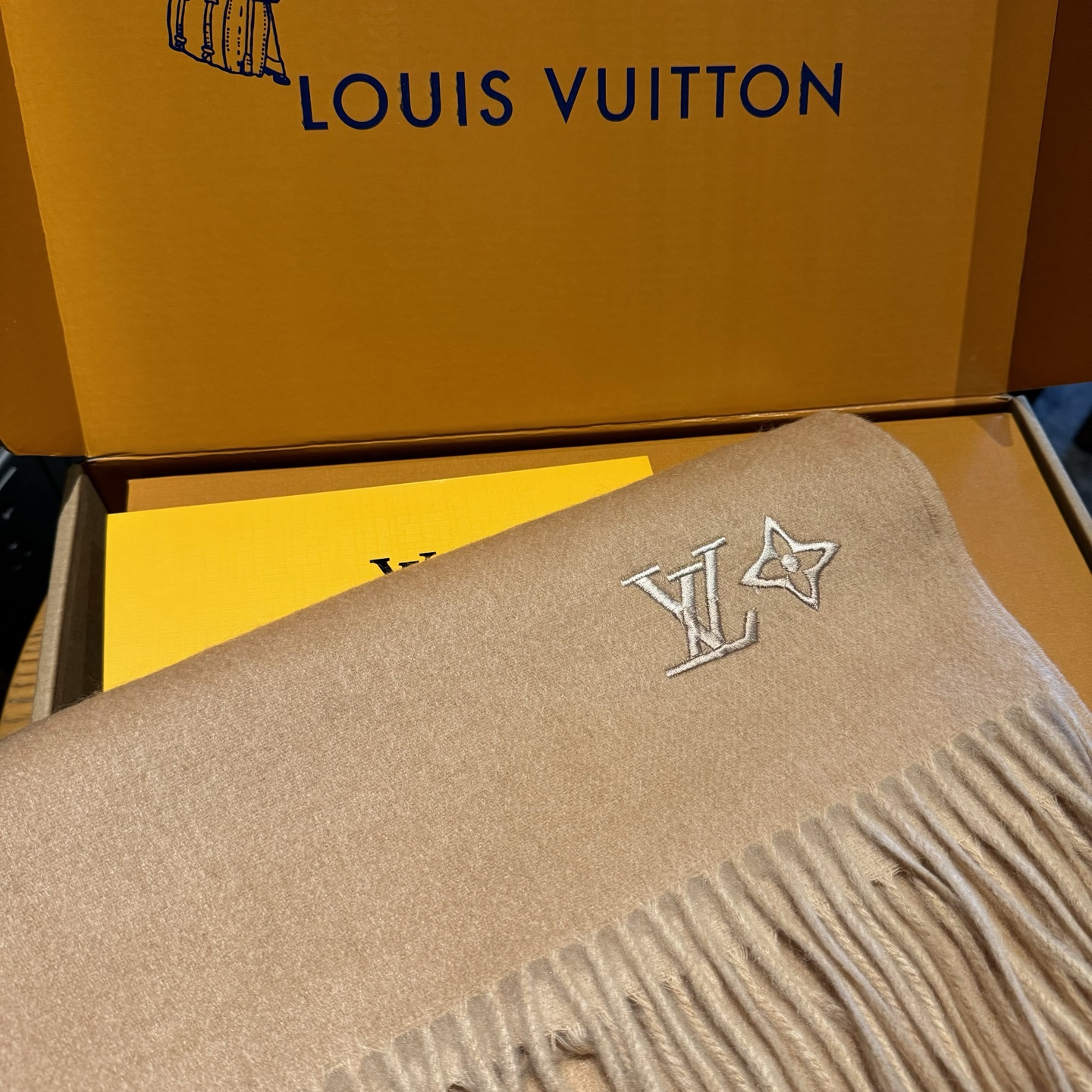 LV scarf