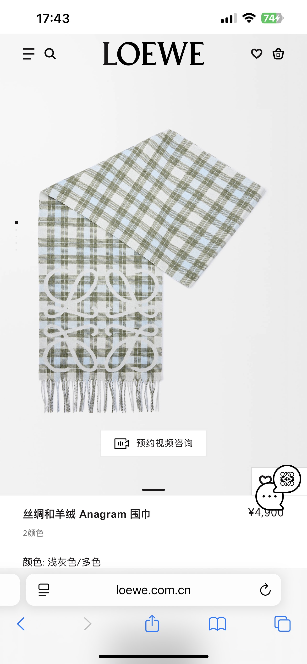 Loewe scarf