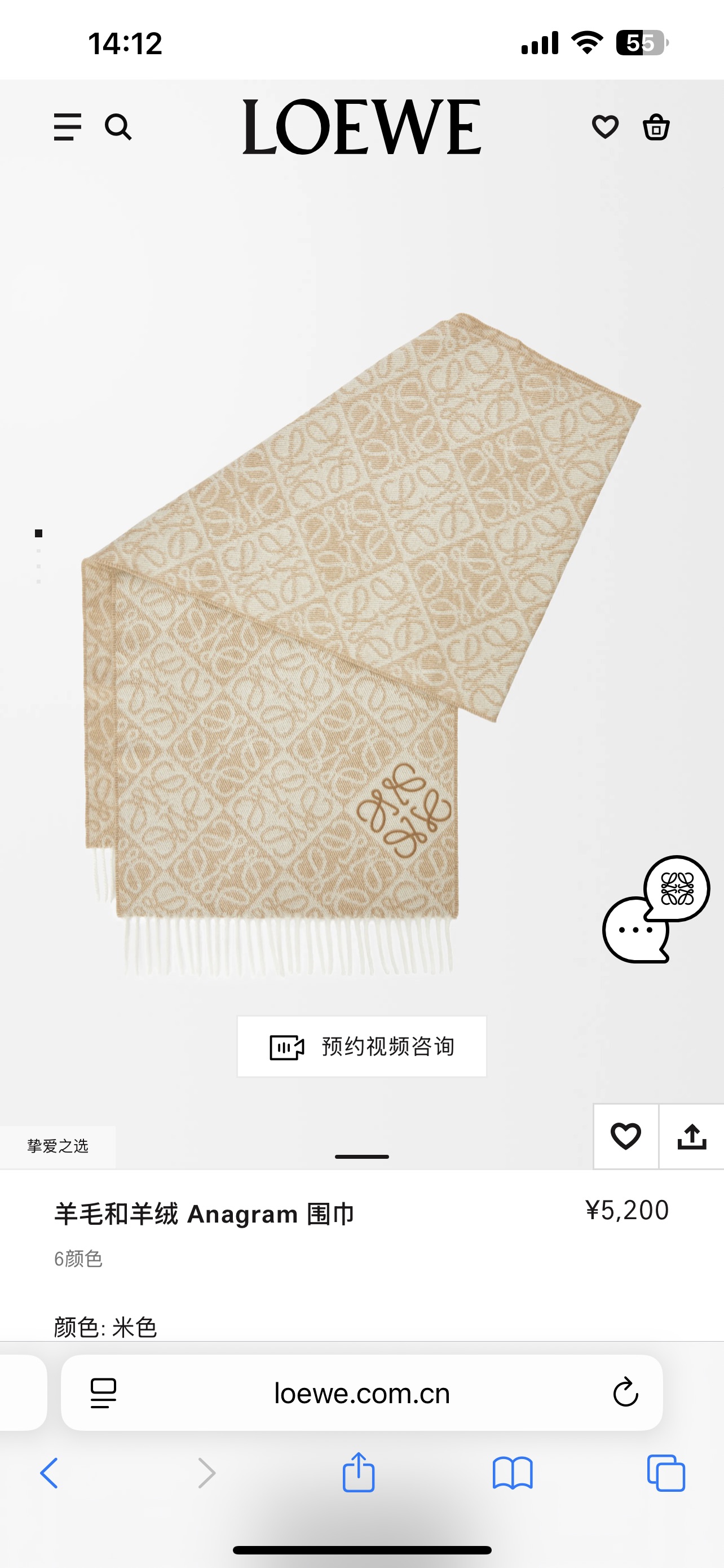 Loewe scarf