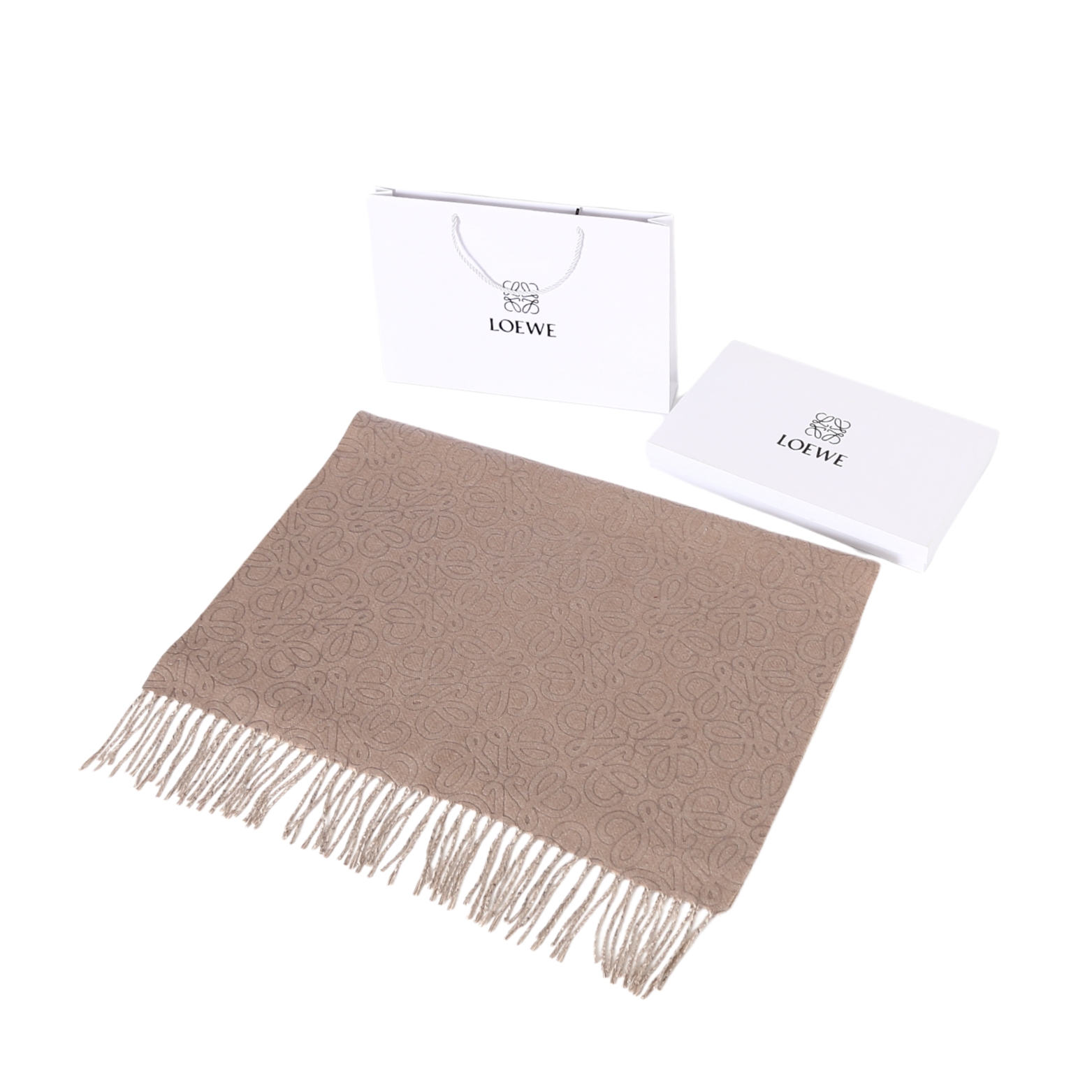 Loewe scarf