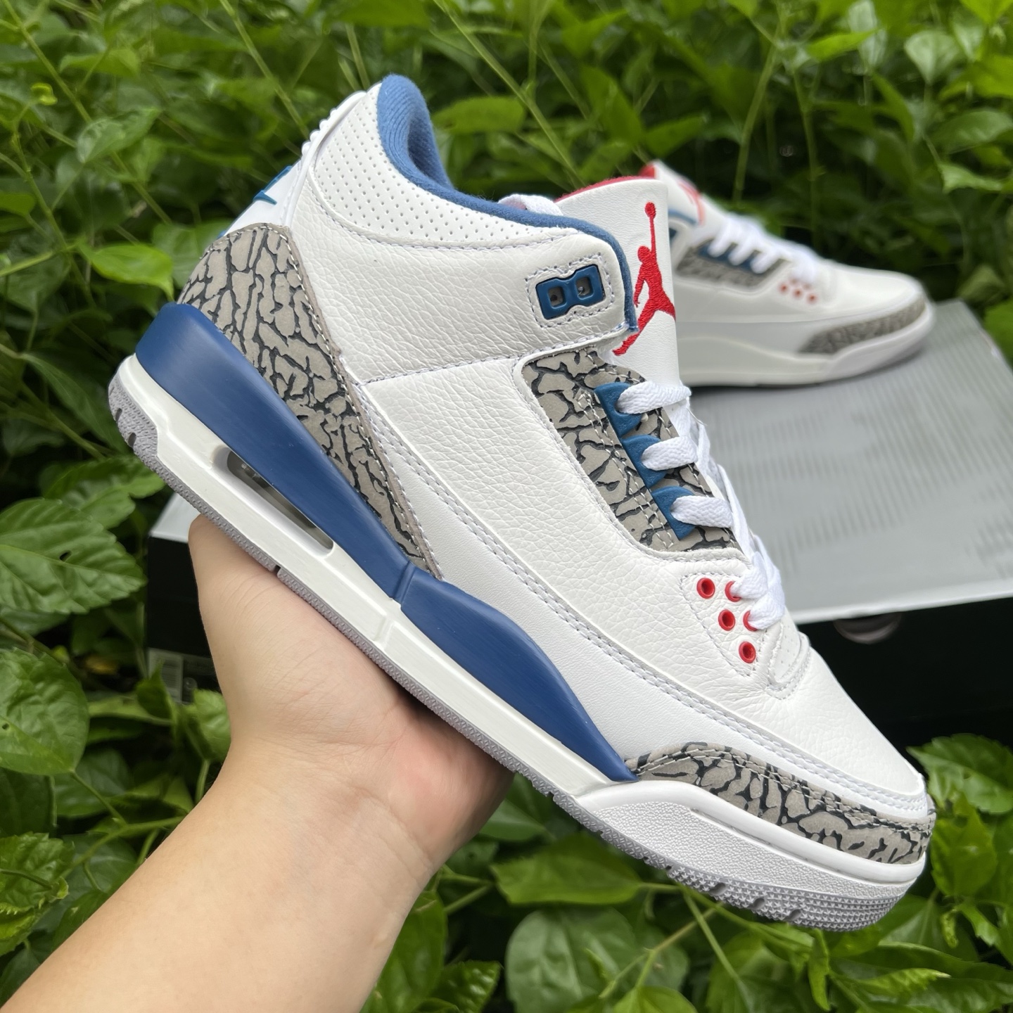 Air Jordan 4