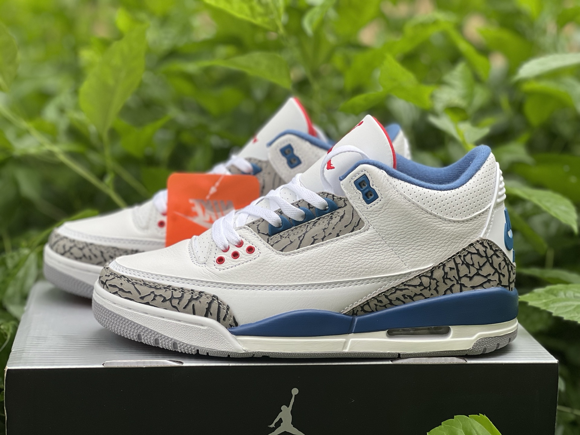 Air Jordan 4