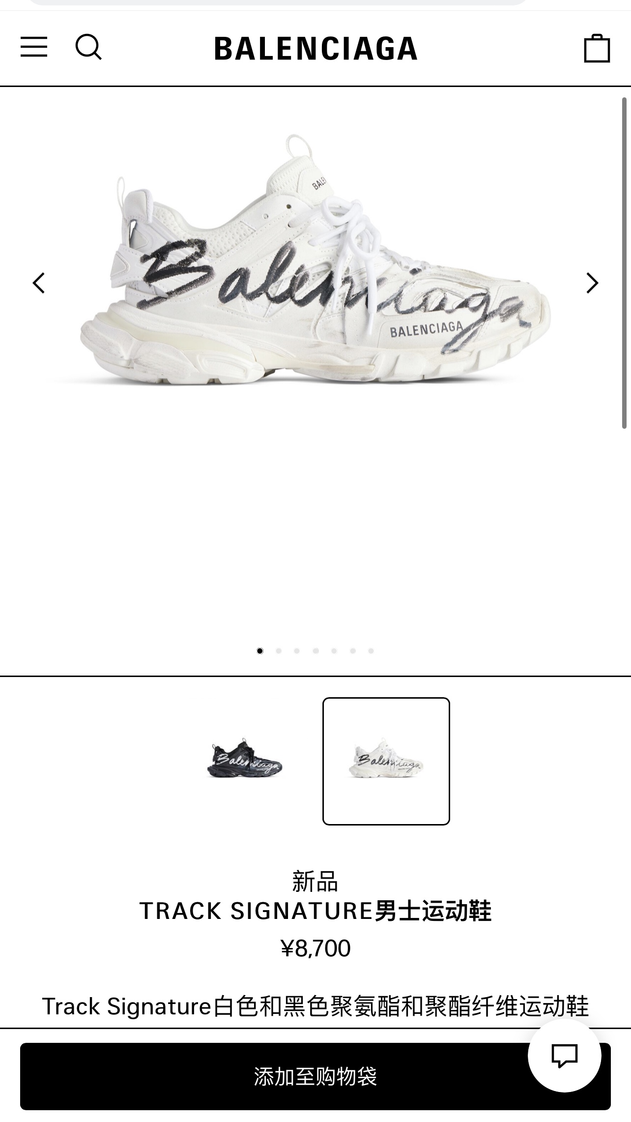 Balenciaga shoe