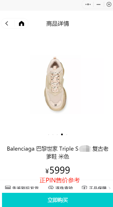 Balenciaga shoe