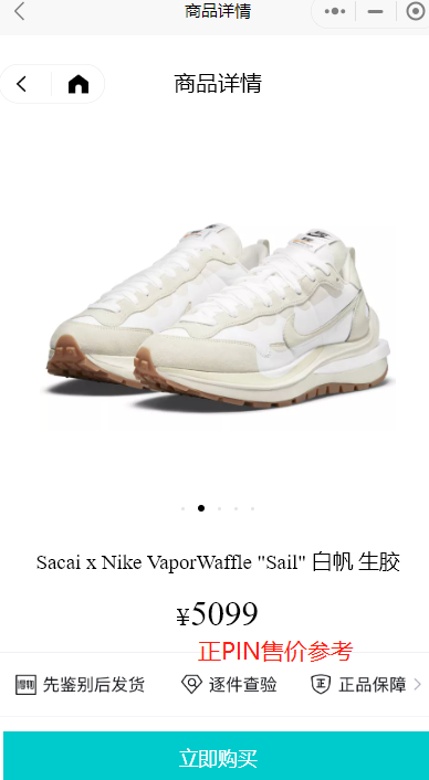 Balenciaga shoe