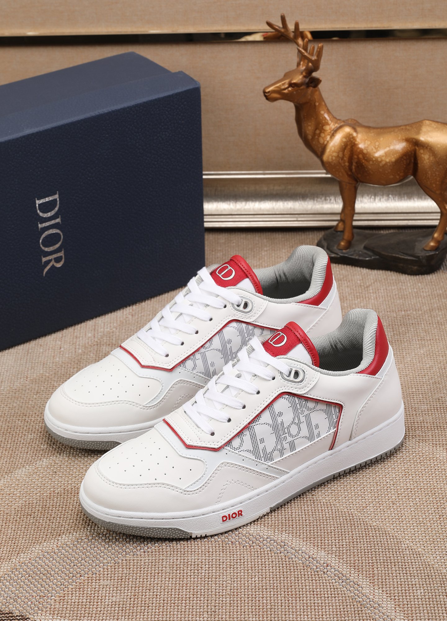 Dior shoe