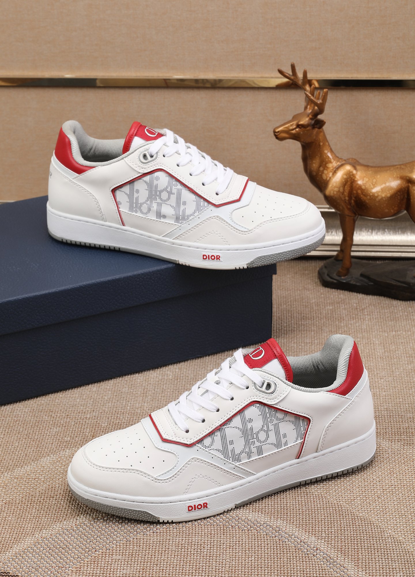 Dior shoe