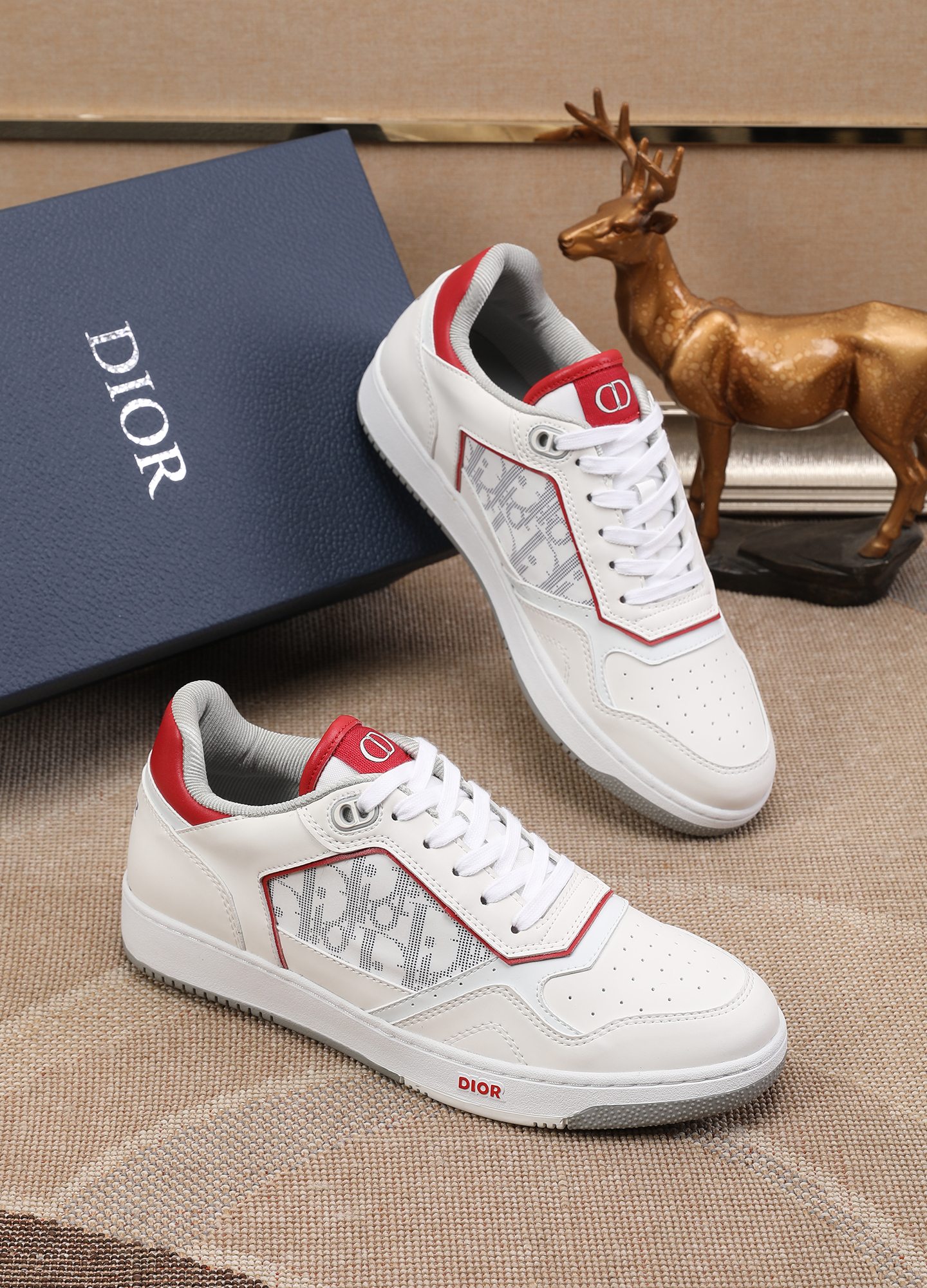 Dior shoe