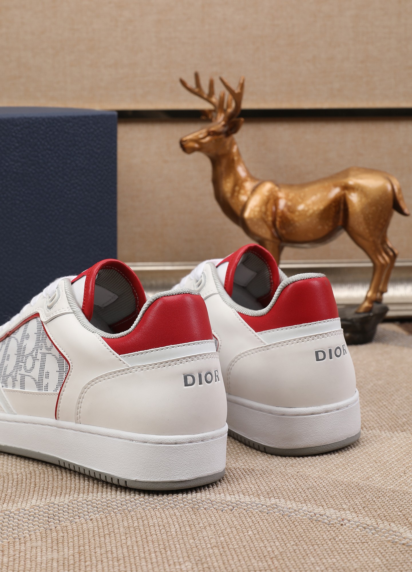 Dior shoe