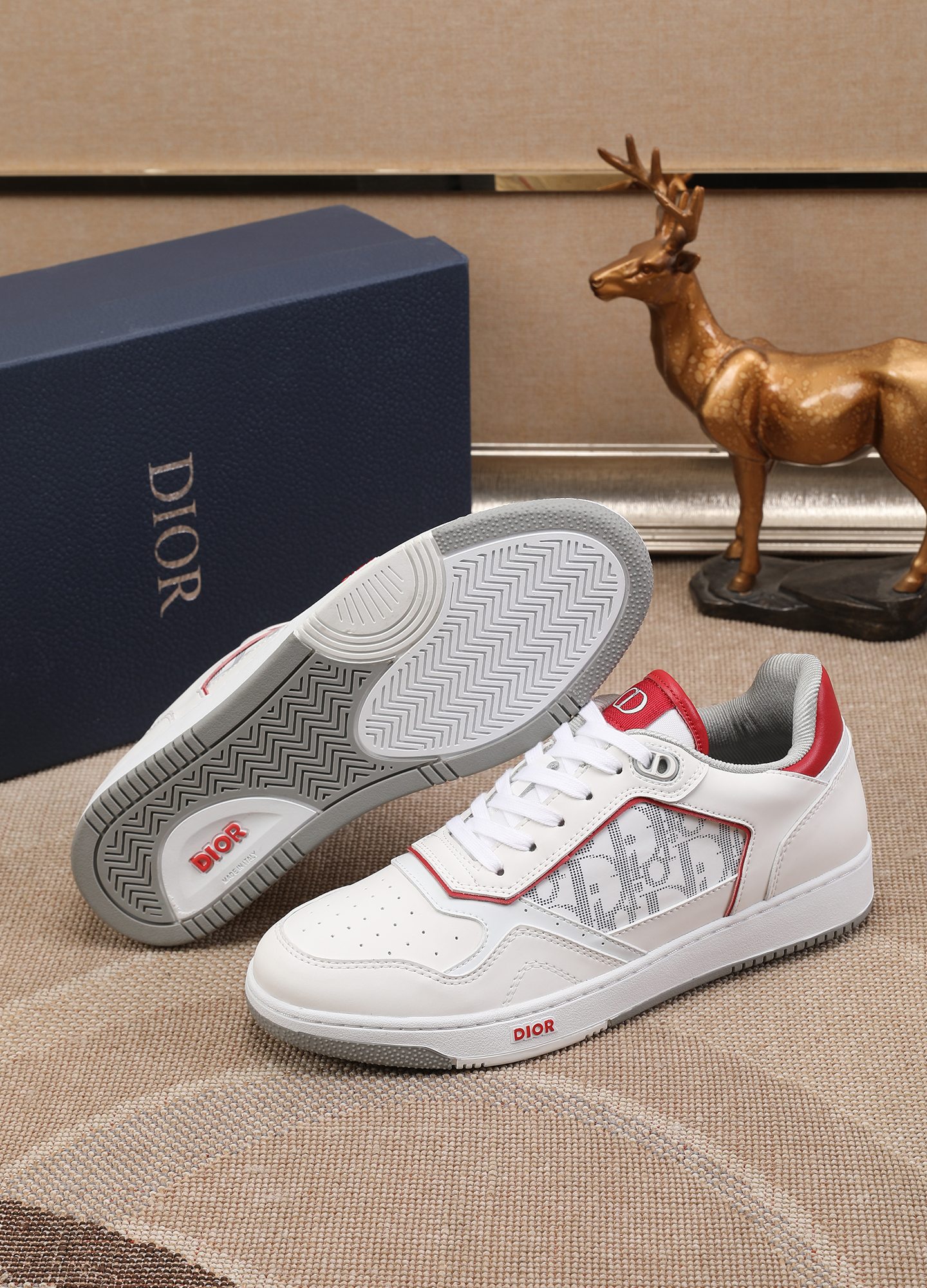 Dior shoe