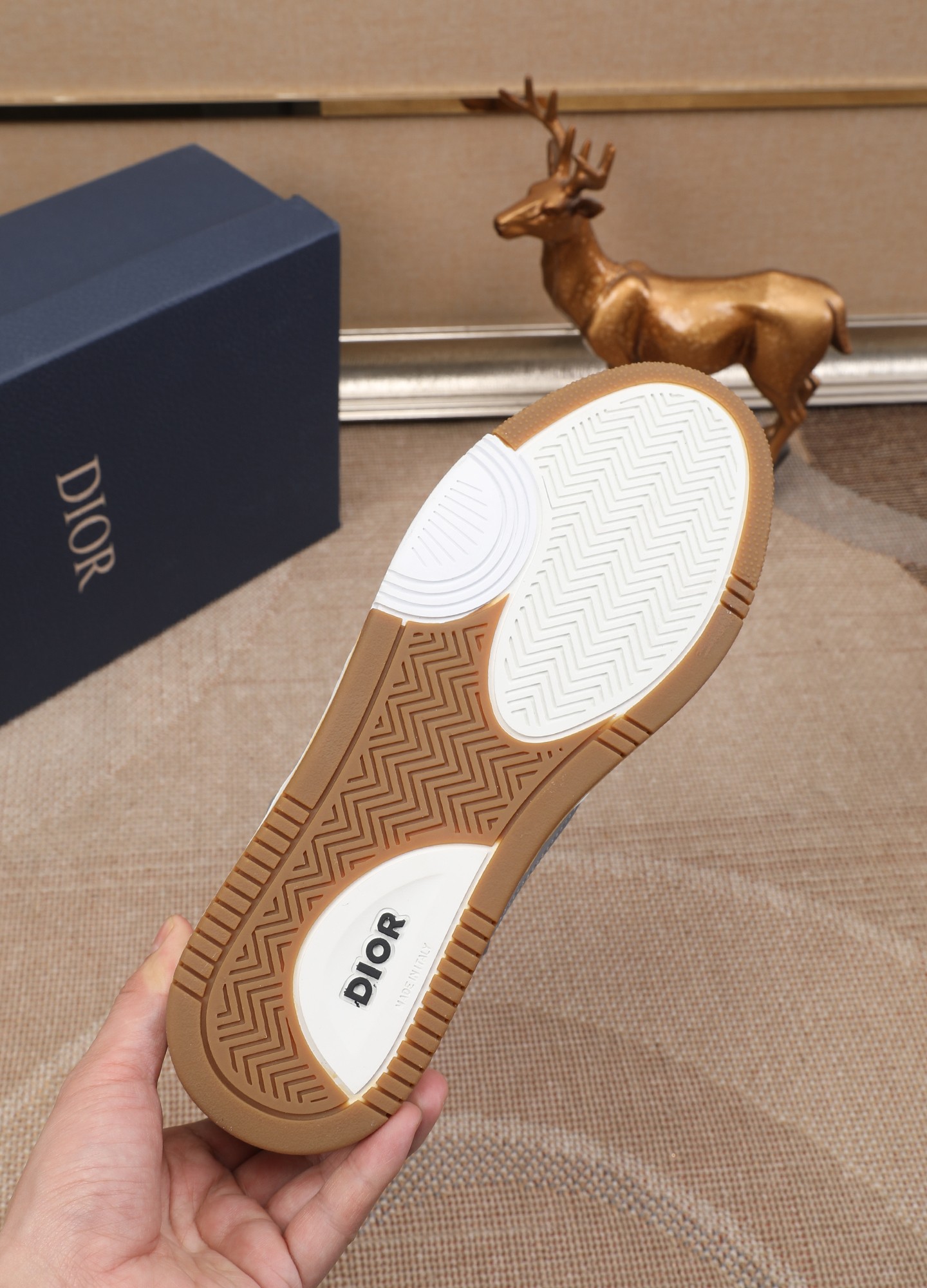 Dior shoe