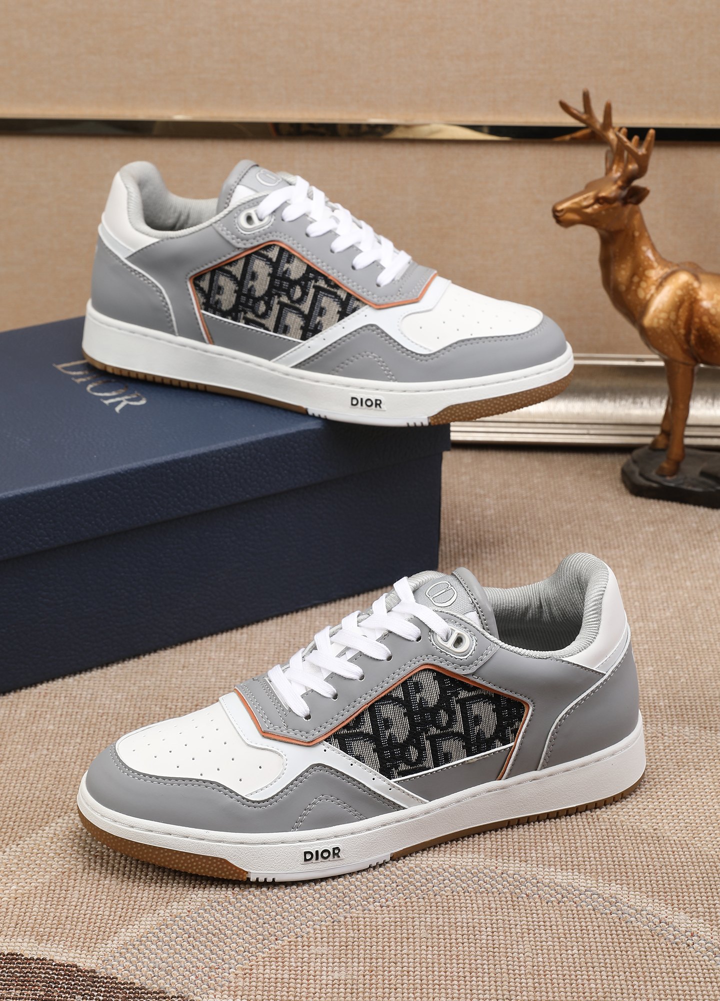 Dior shoe