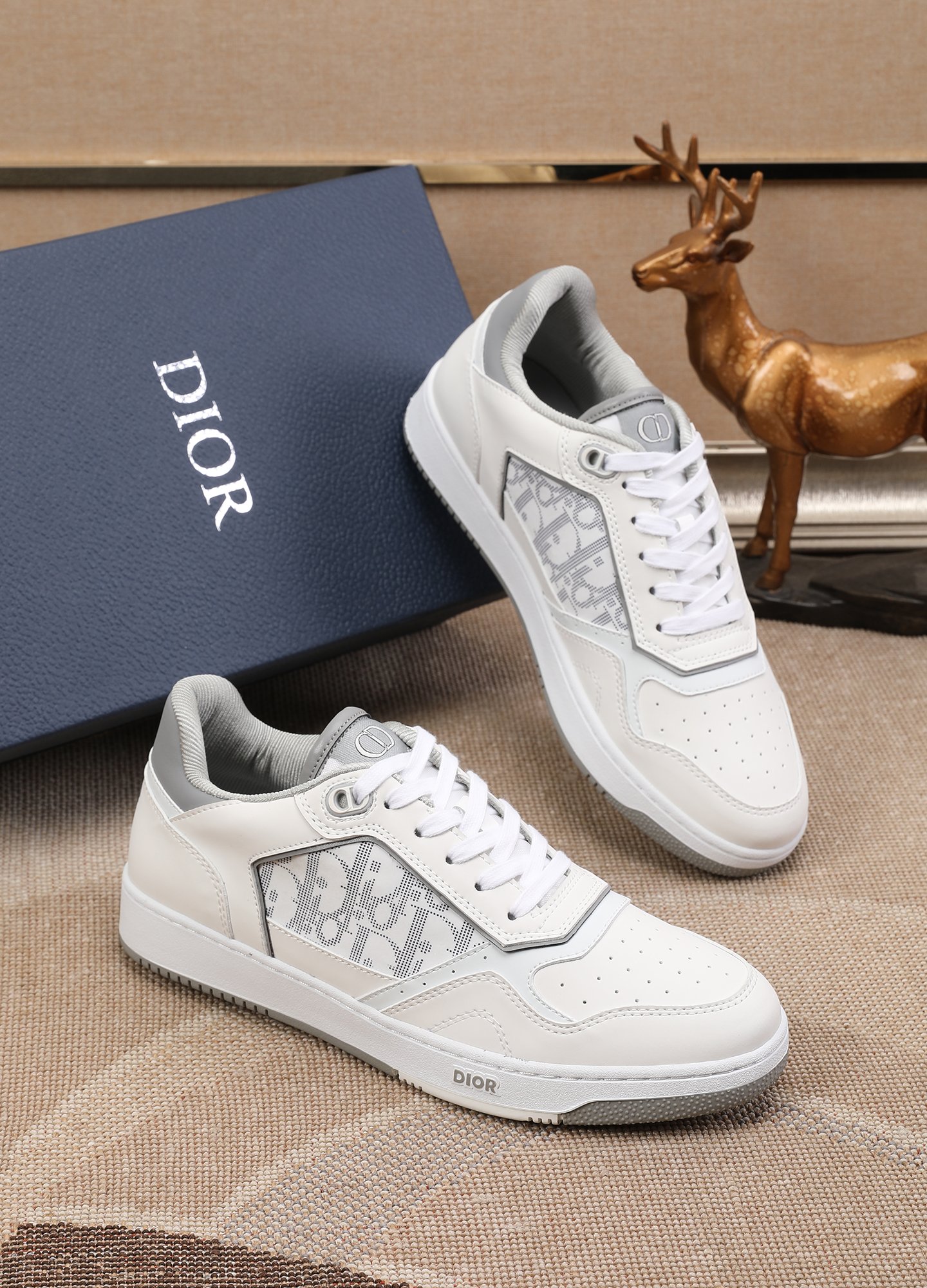 Dior shoe