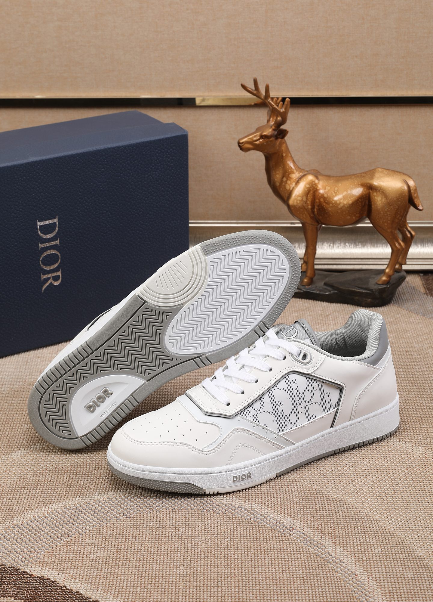 Dior shoe