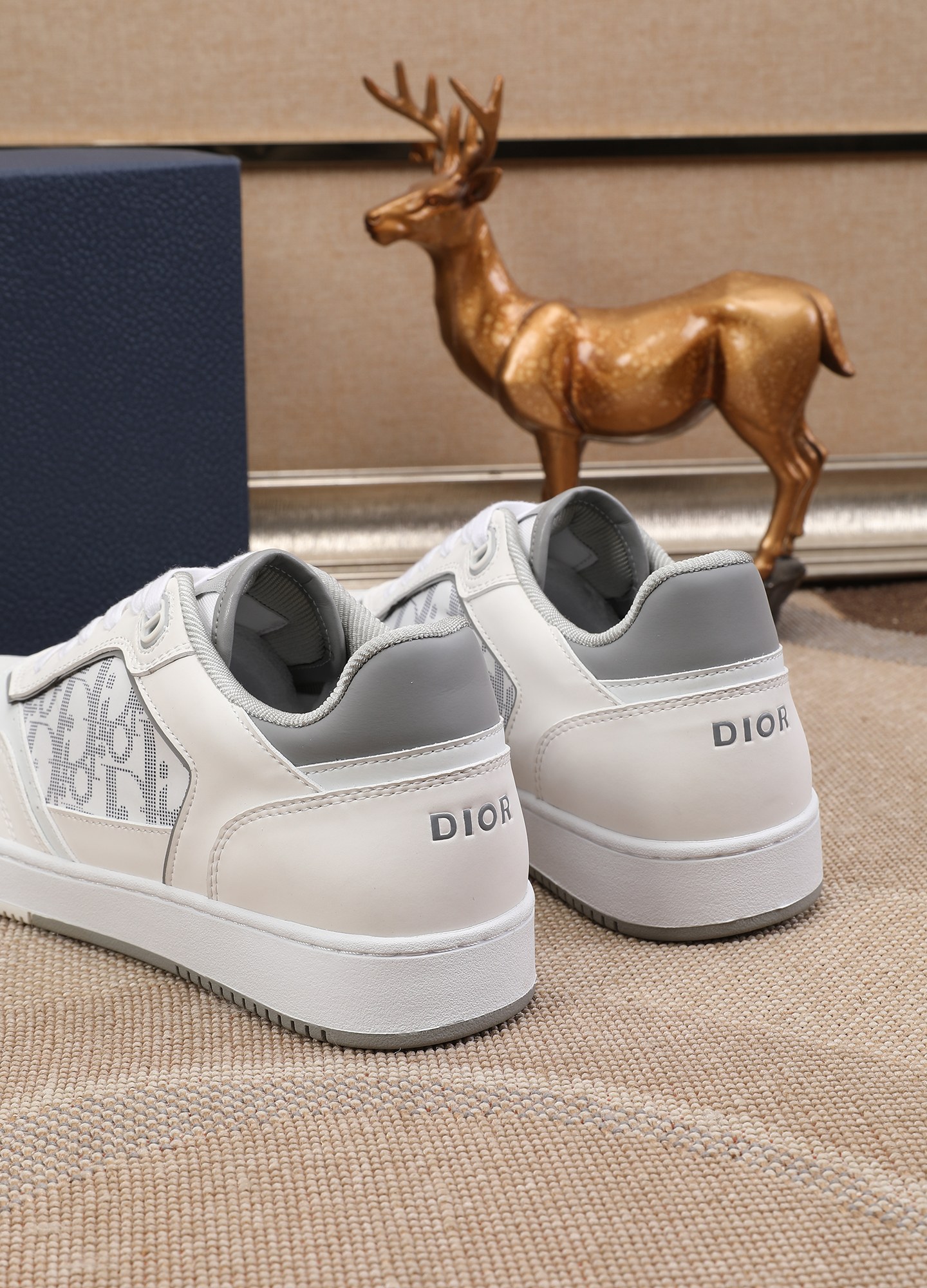 Dior shoe