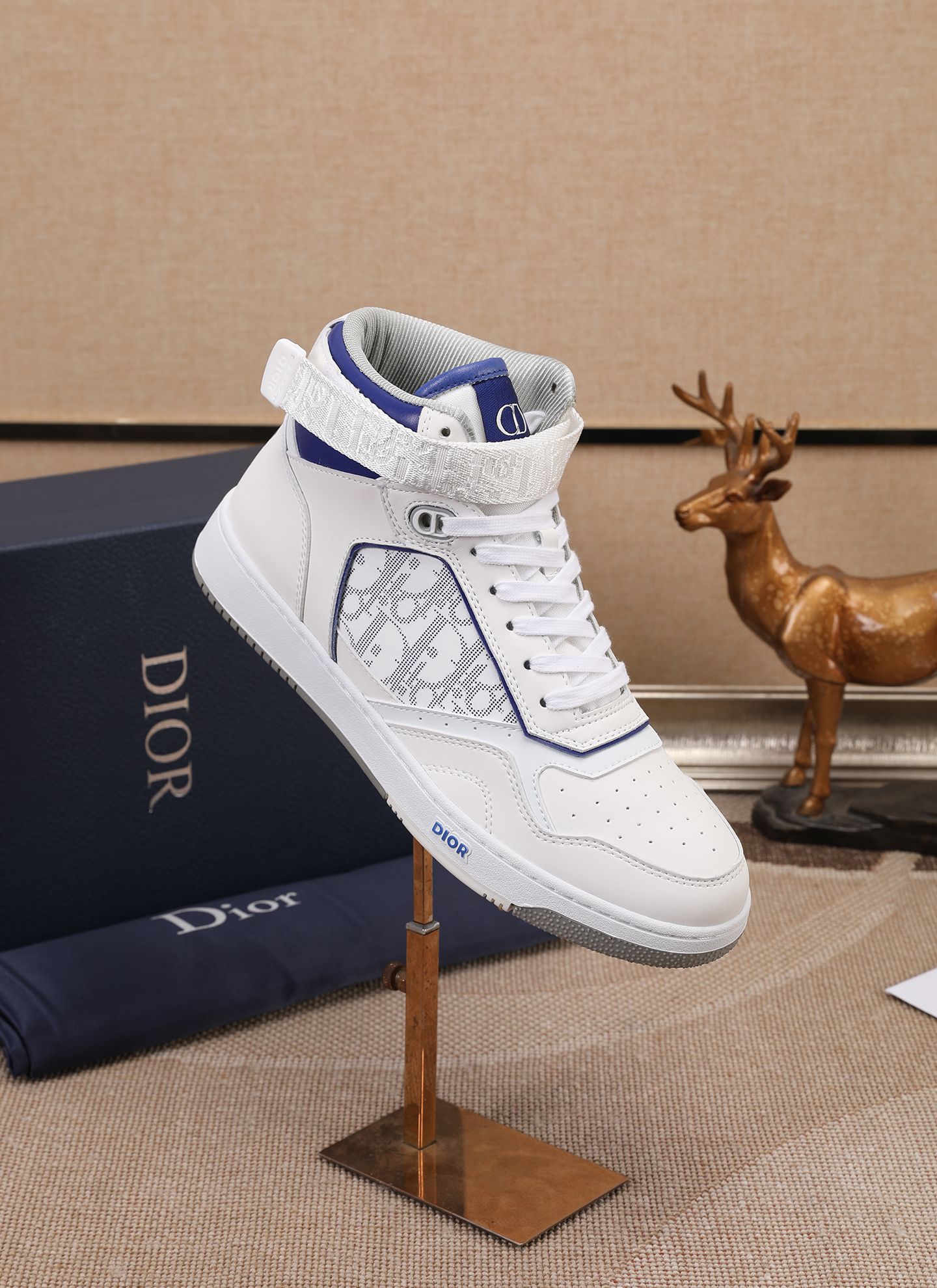 Dior shoe