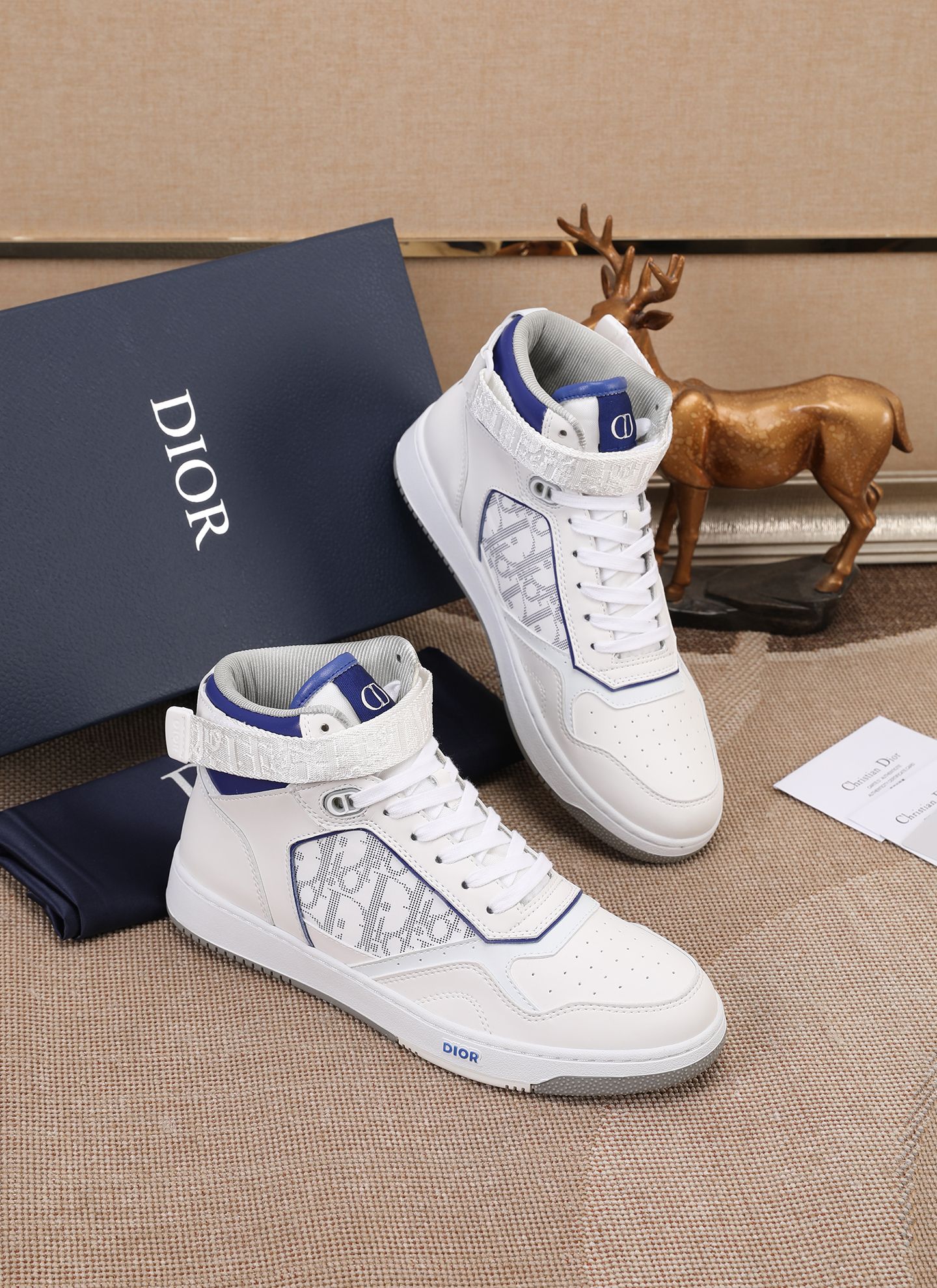 Dior shoe