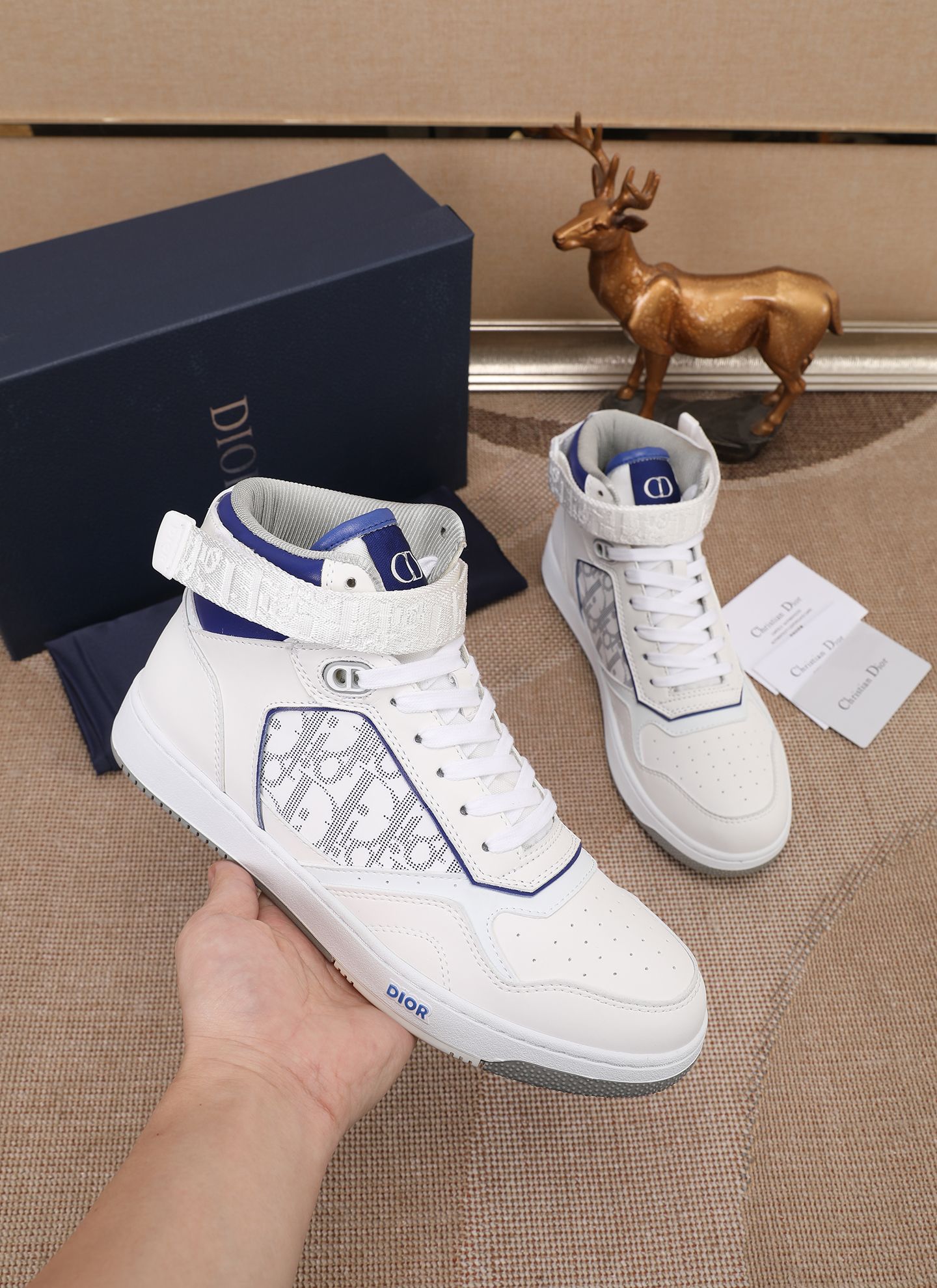 Dior shoe