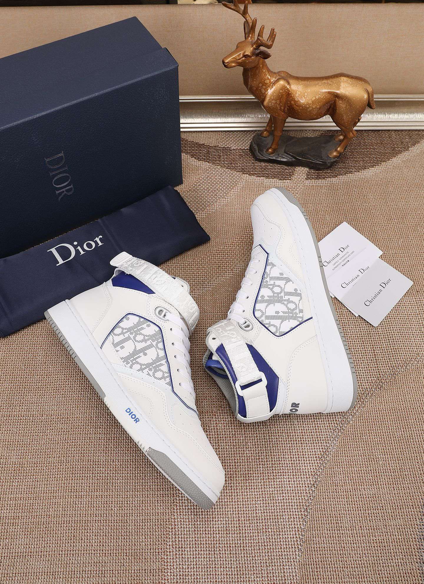 Dior shoe