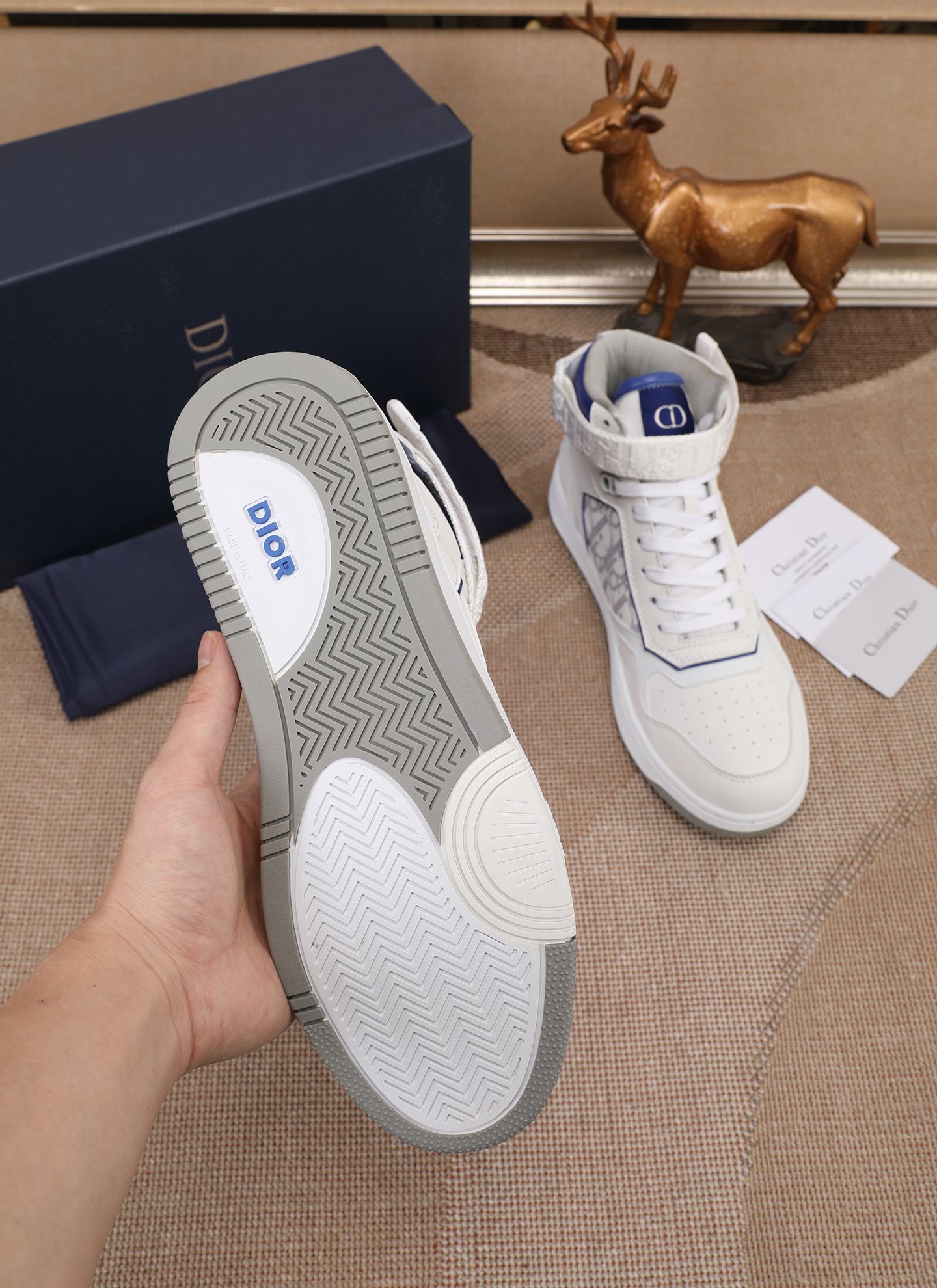 Dior shoe