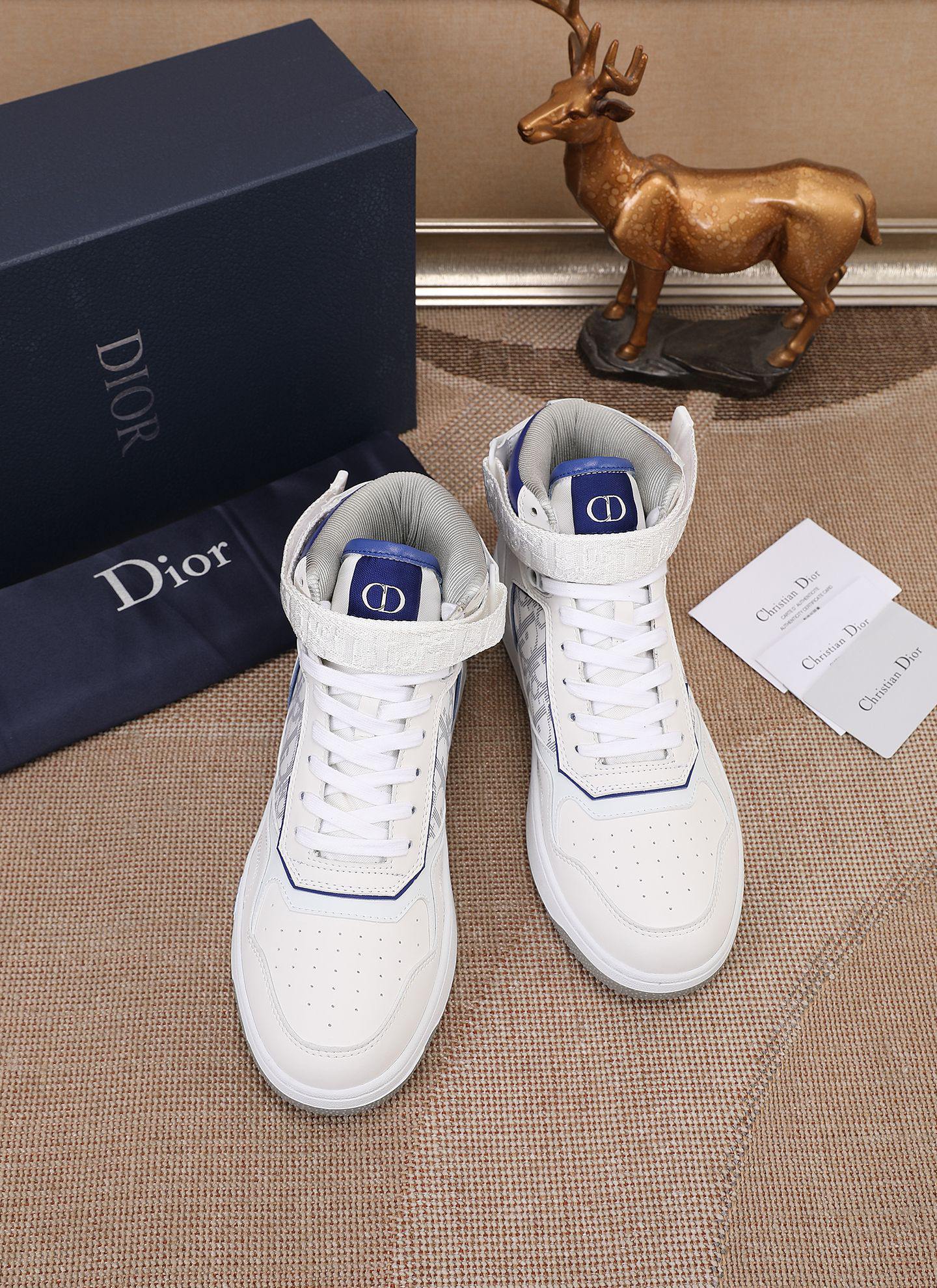 Dior shoe