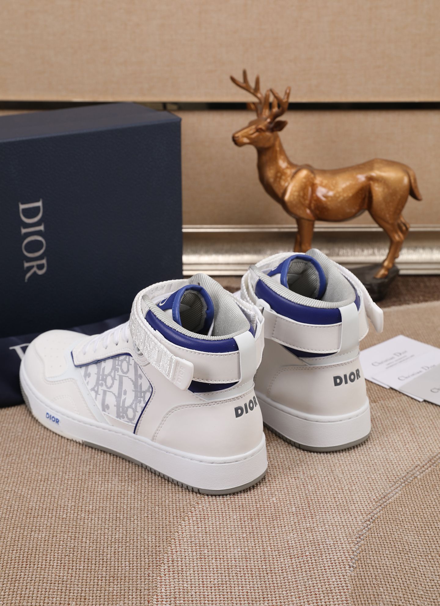 Dior shoe