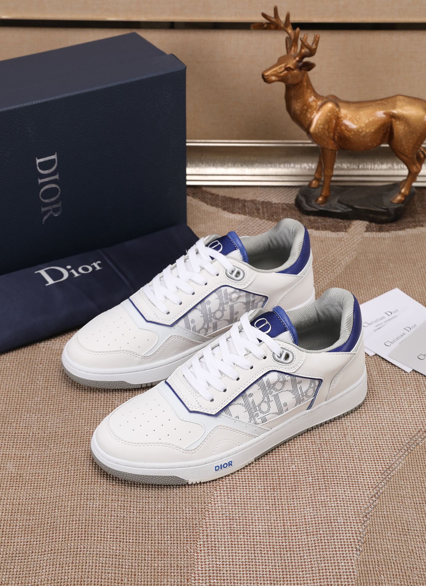 Dior shoe