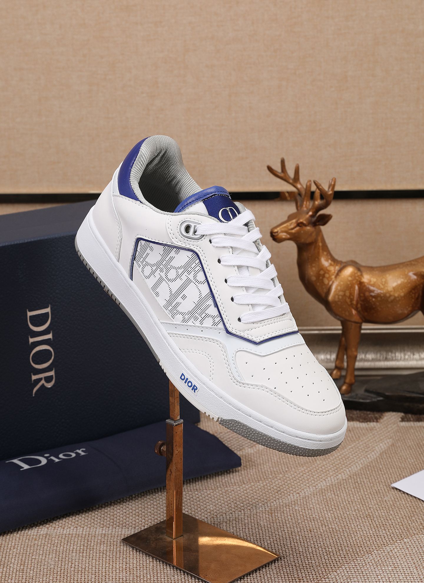 Dior shoe