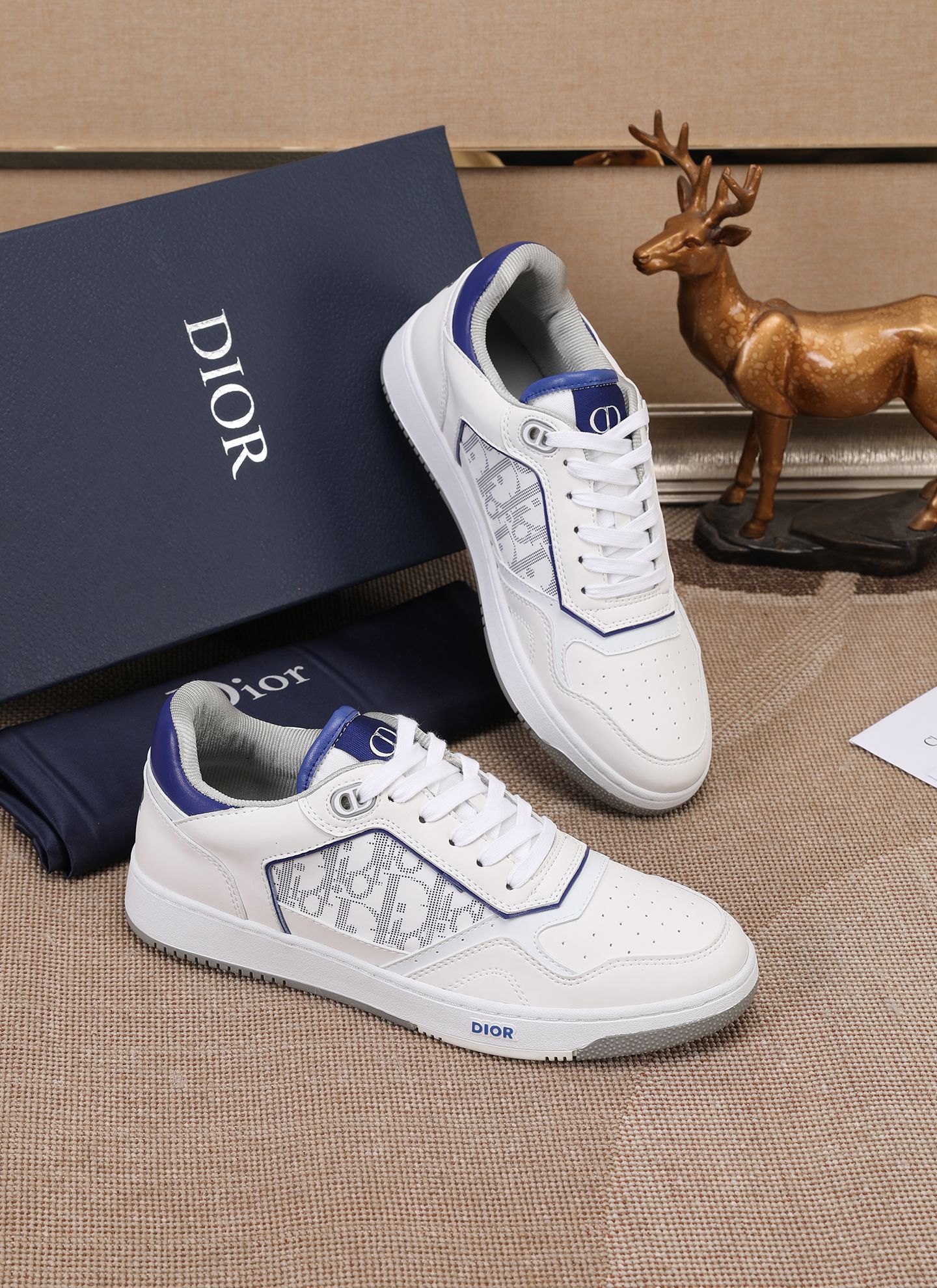Dior shoe