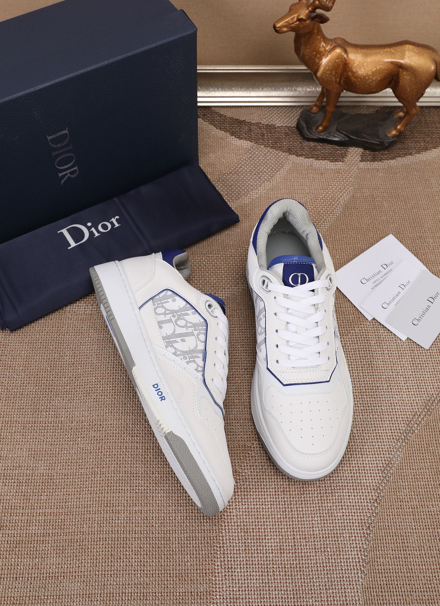 Dior shoe