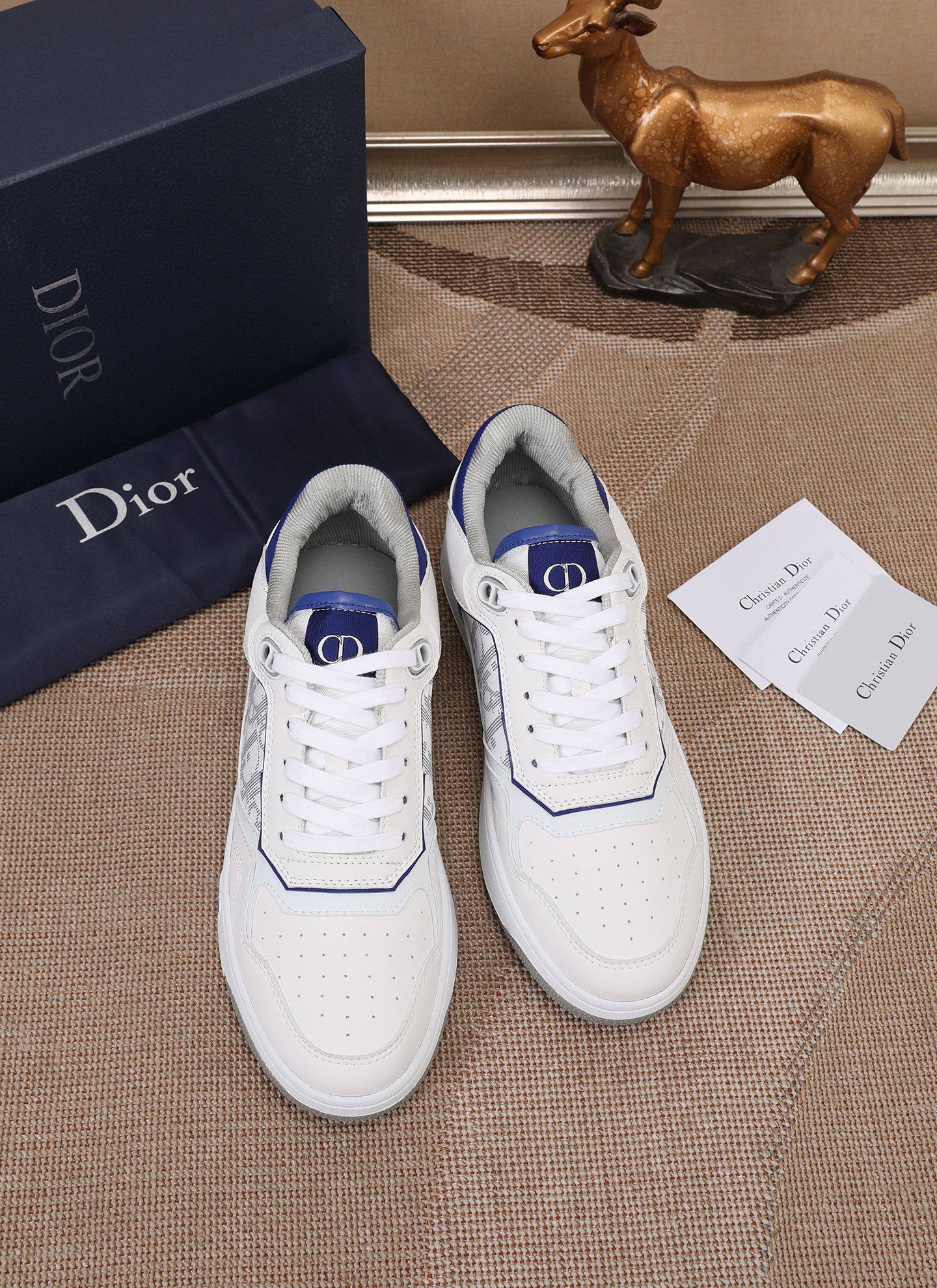 Dior shoe
