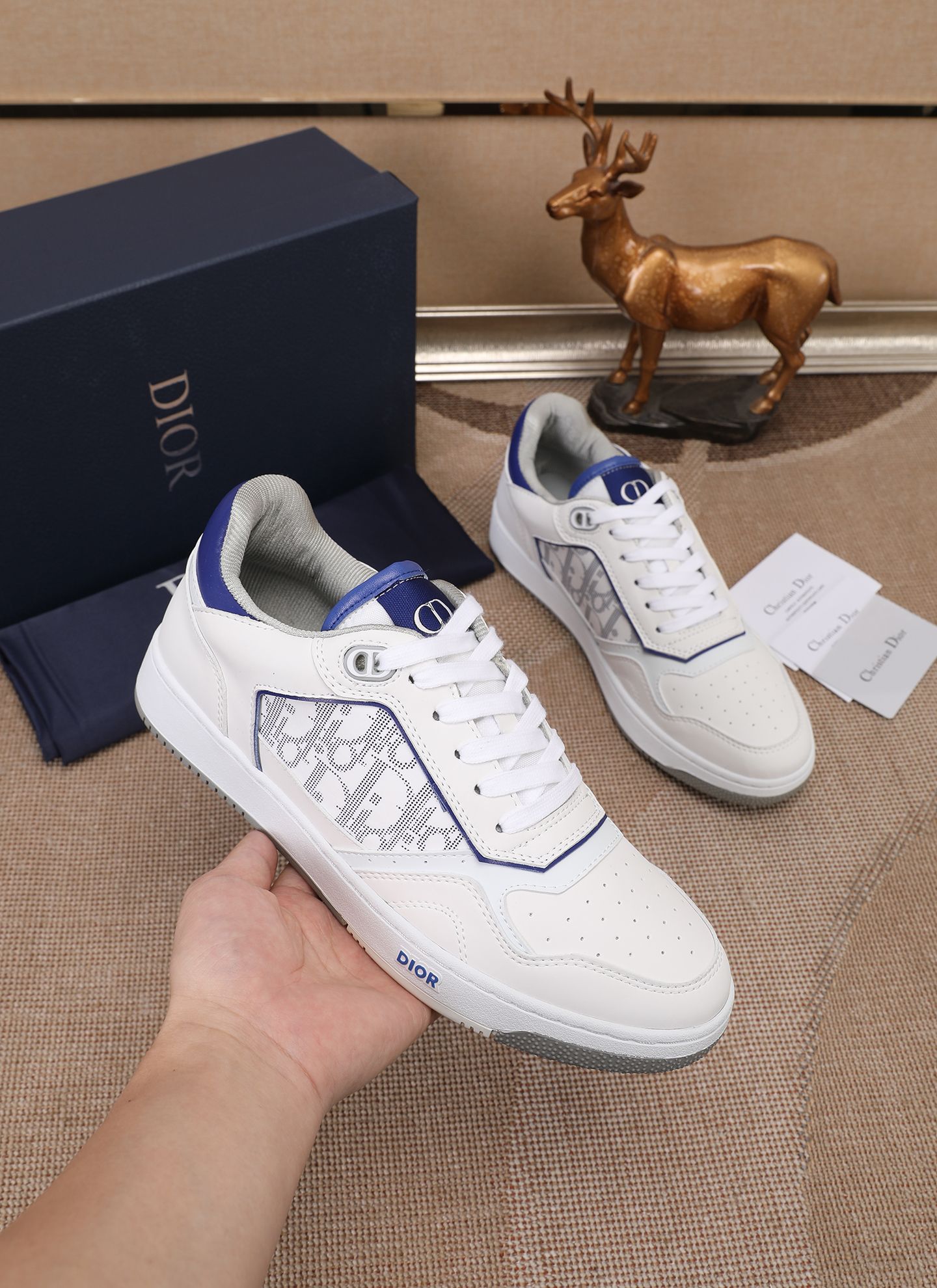 Dior shoe