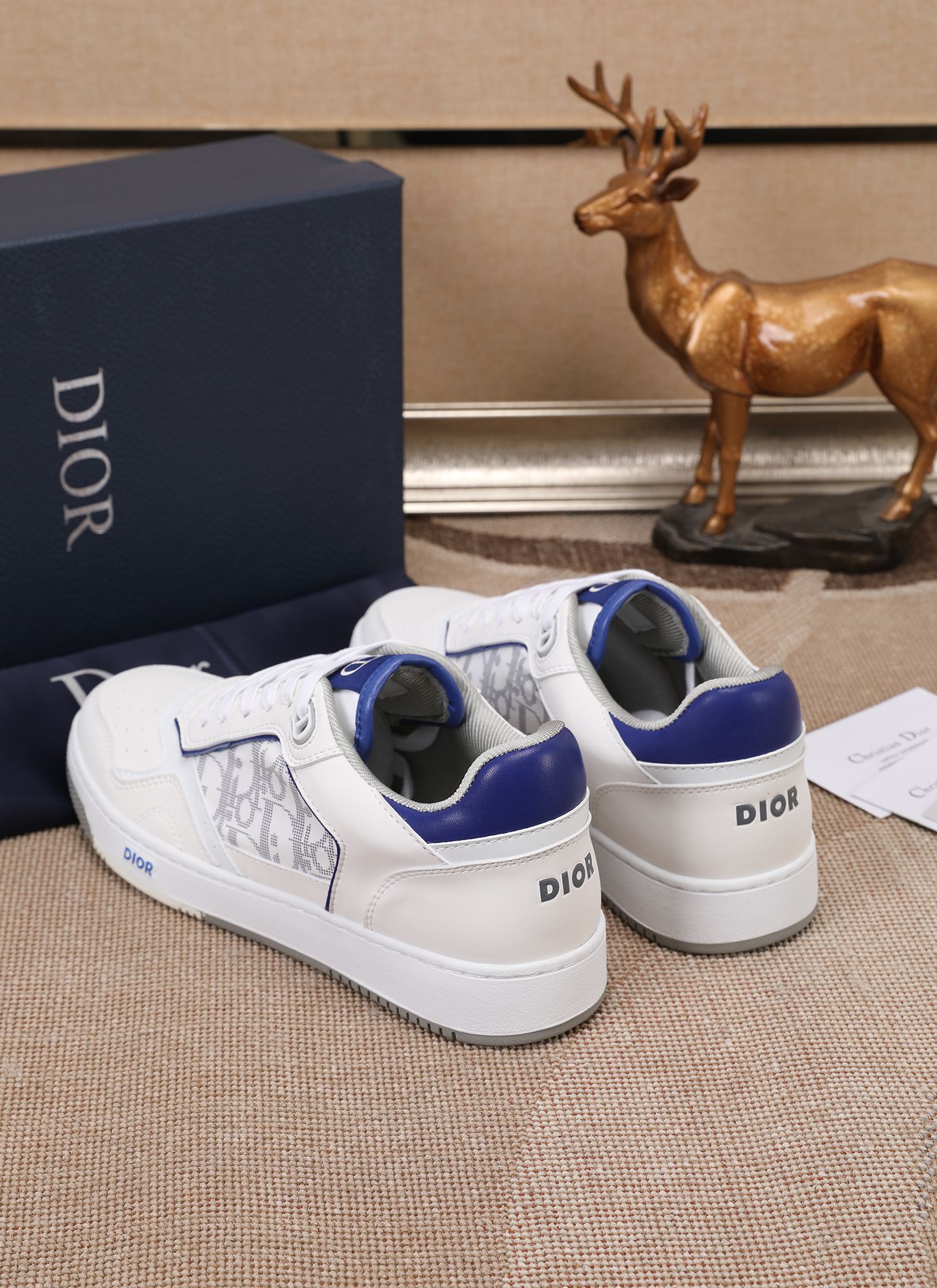 Dior shoe