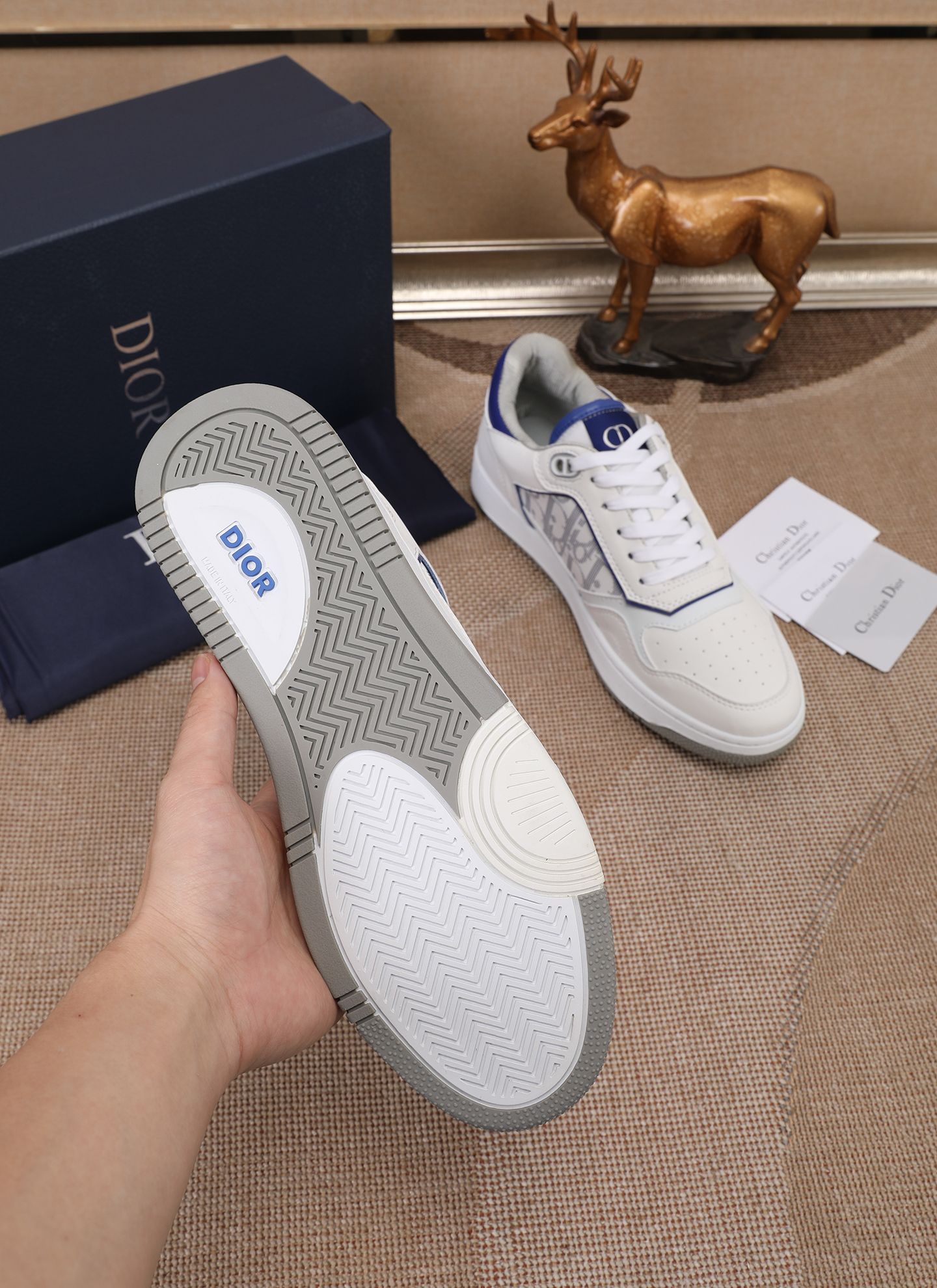 Dior shoe