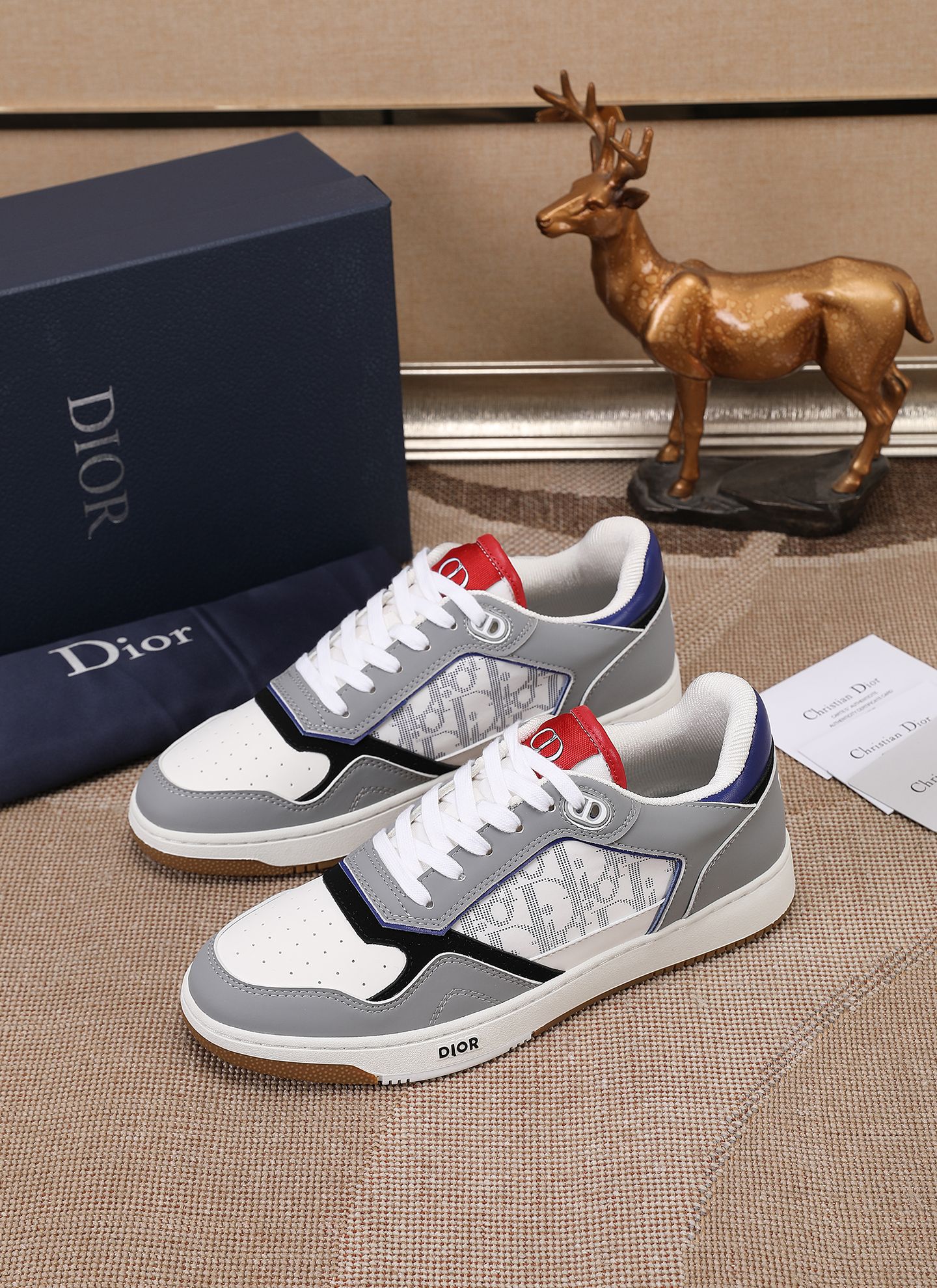 Dior shoe