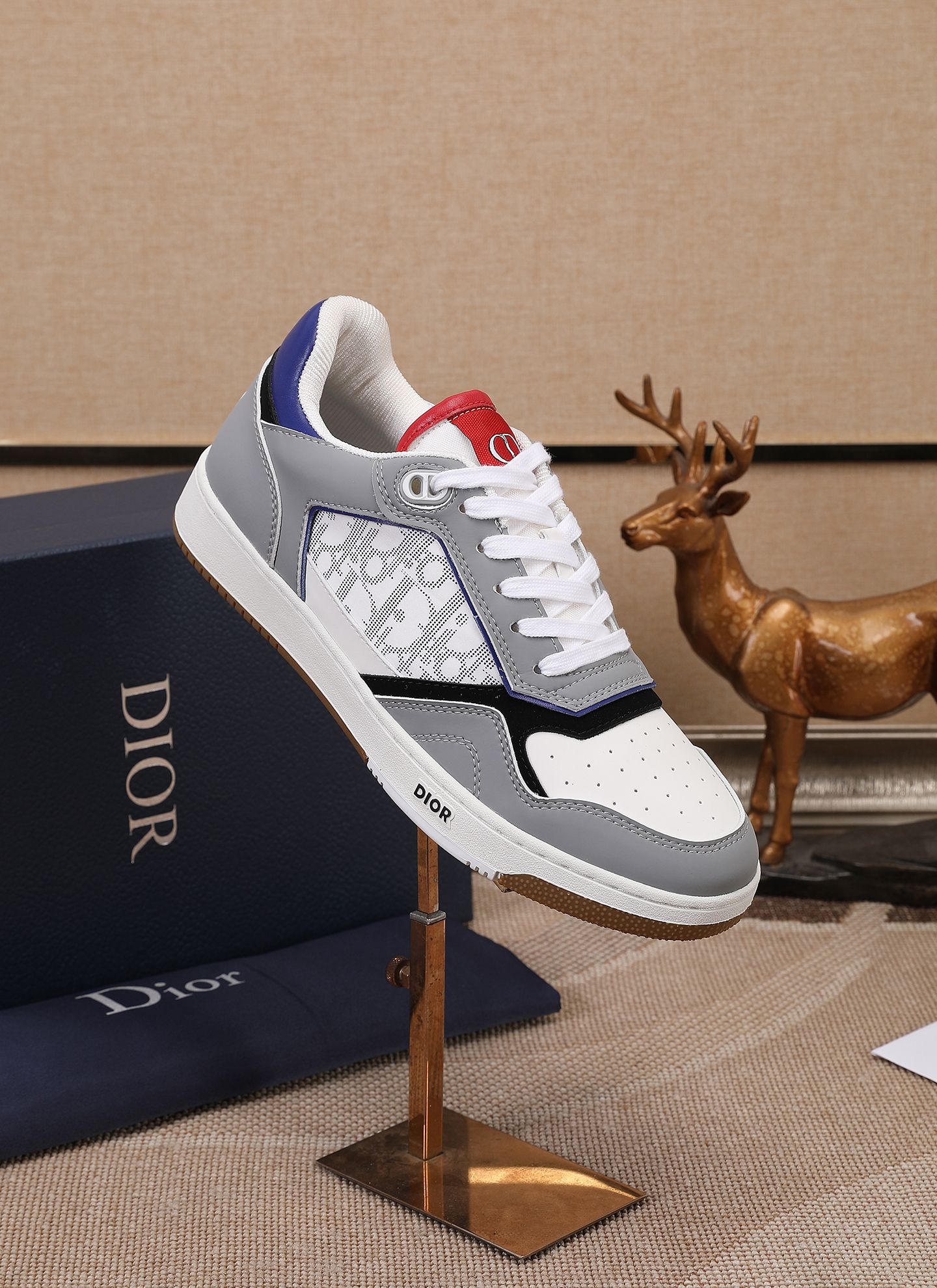 Dior shoe