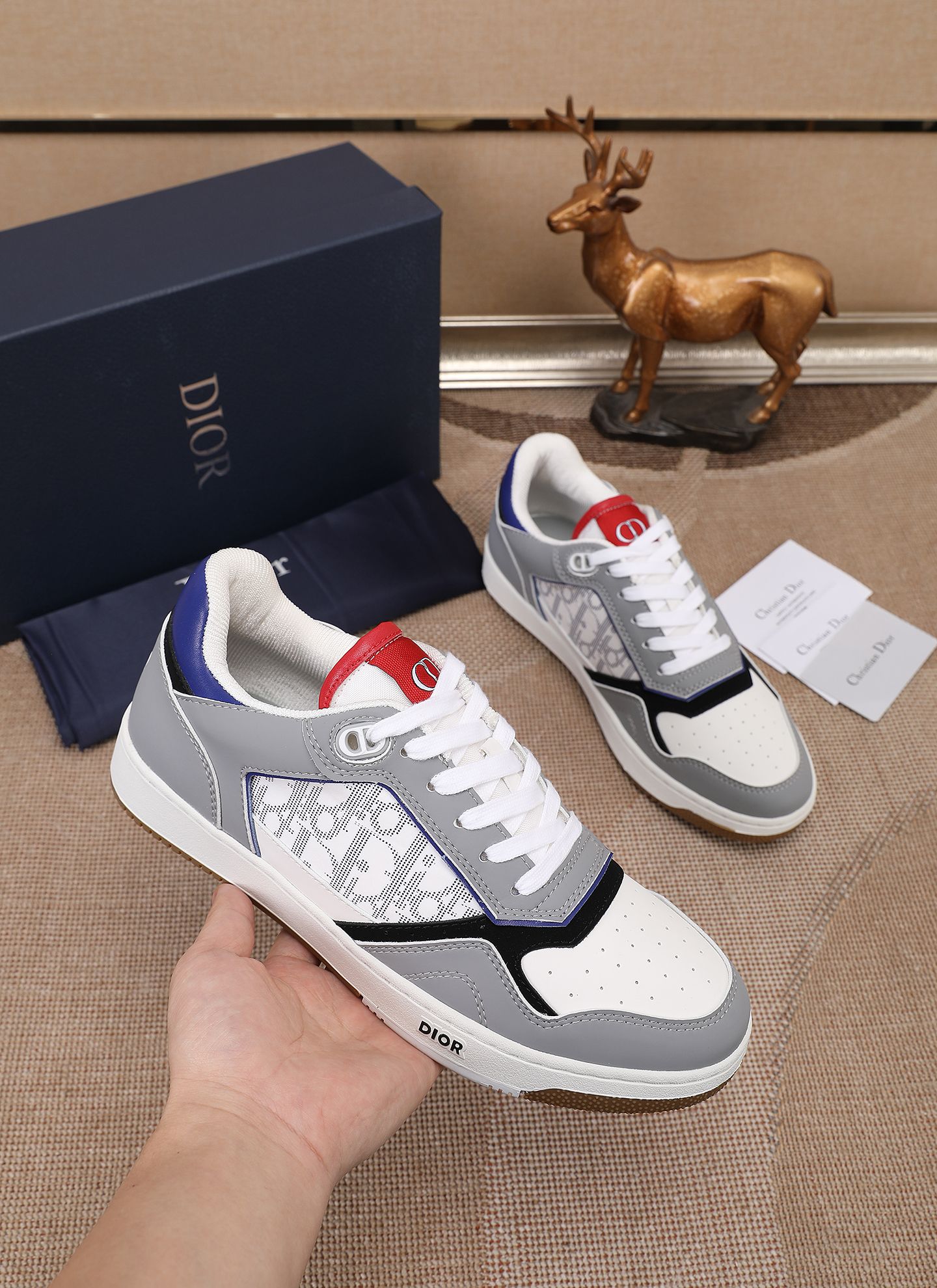 Dior shoe