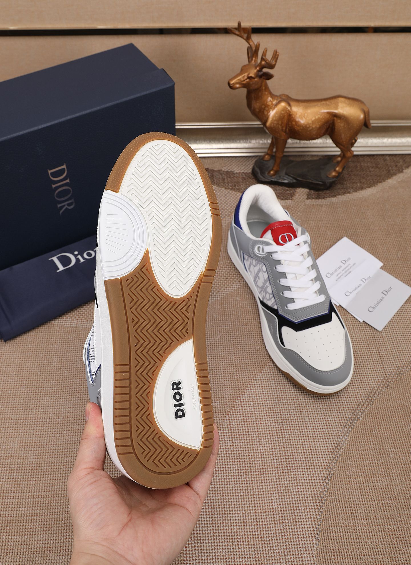 Dior shoe
