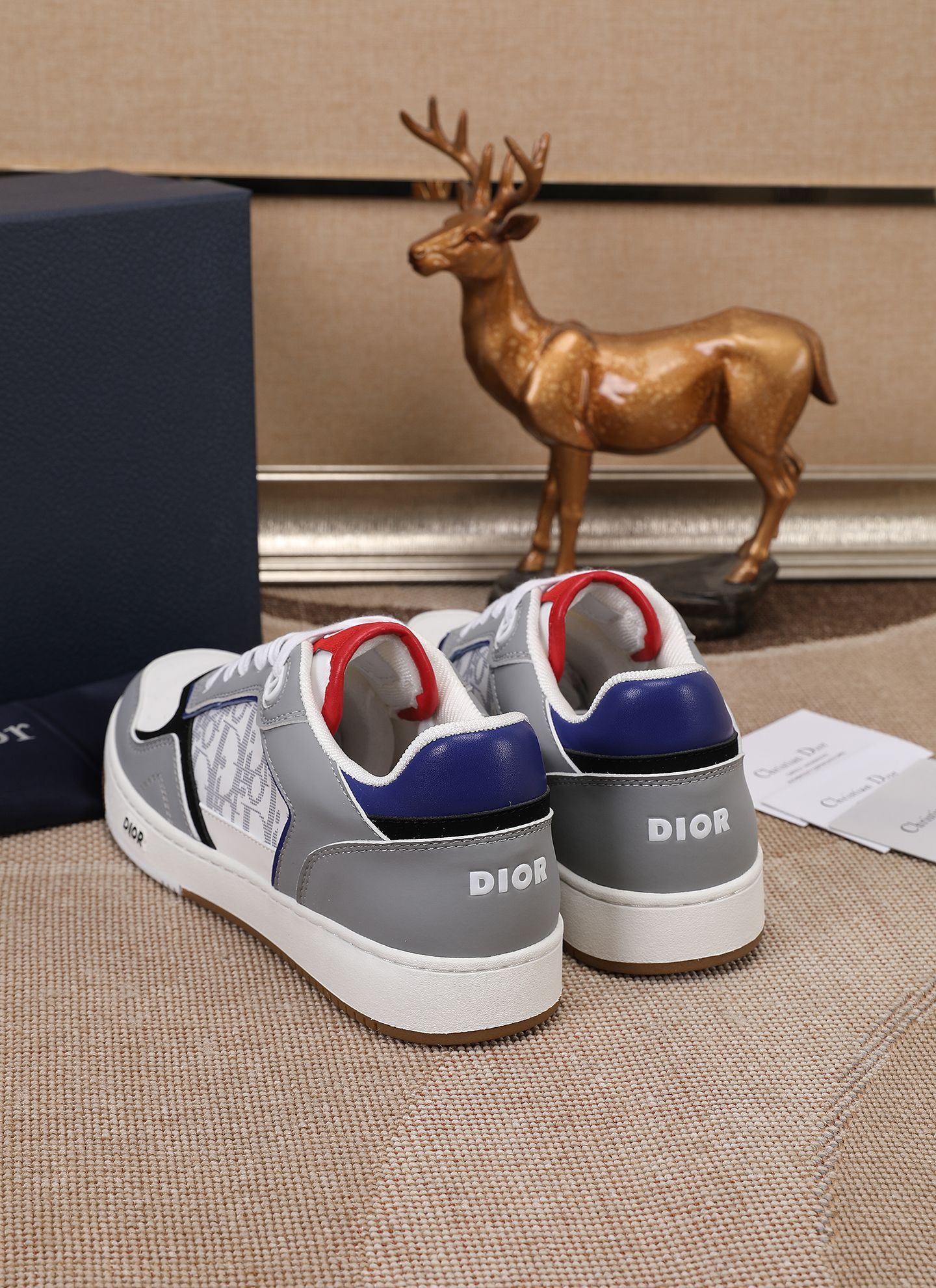 Dior shoe