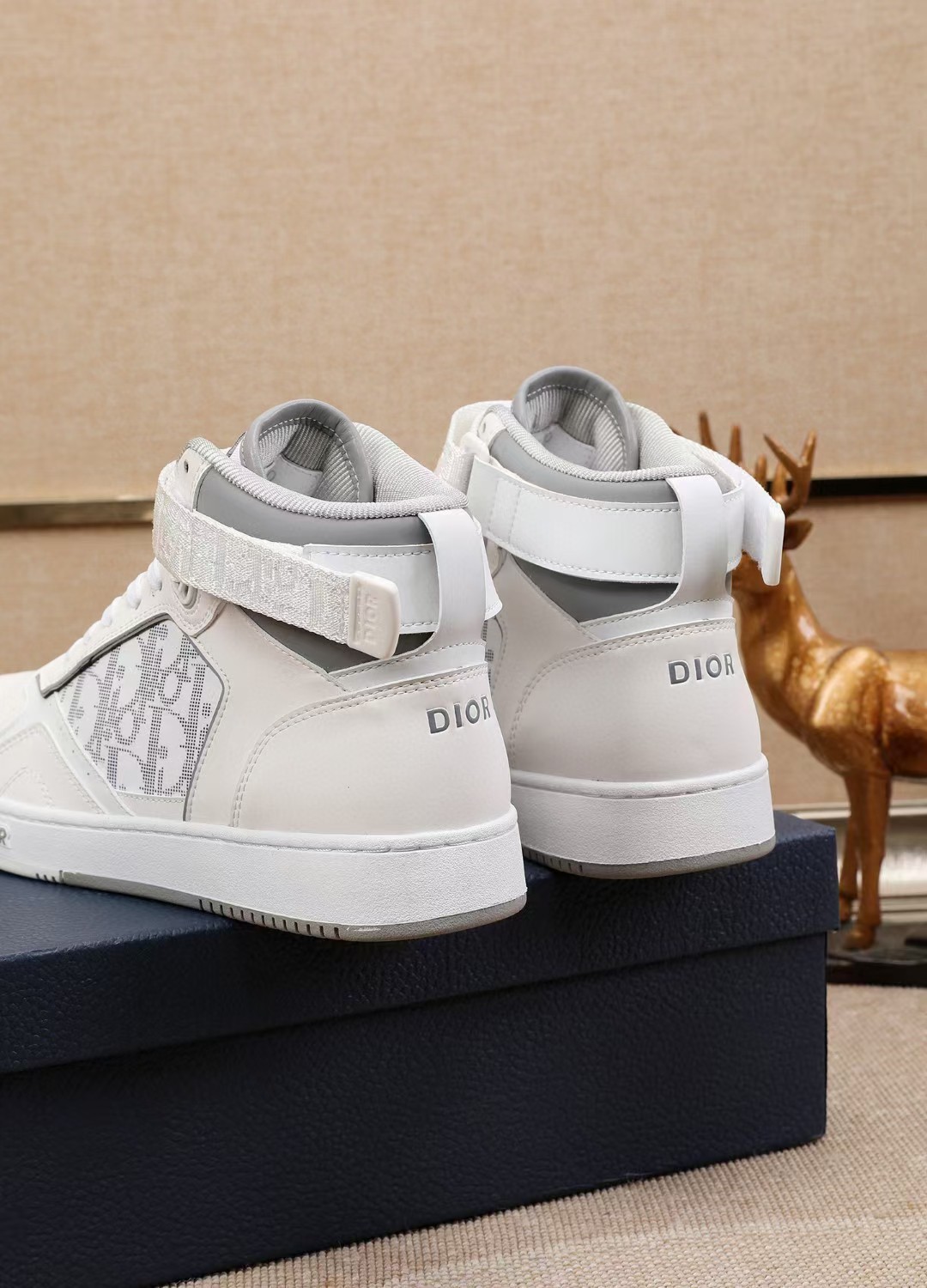 Dior shoe