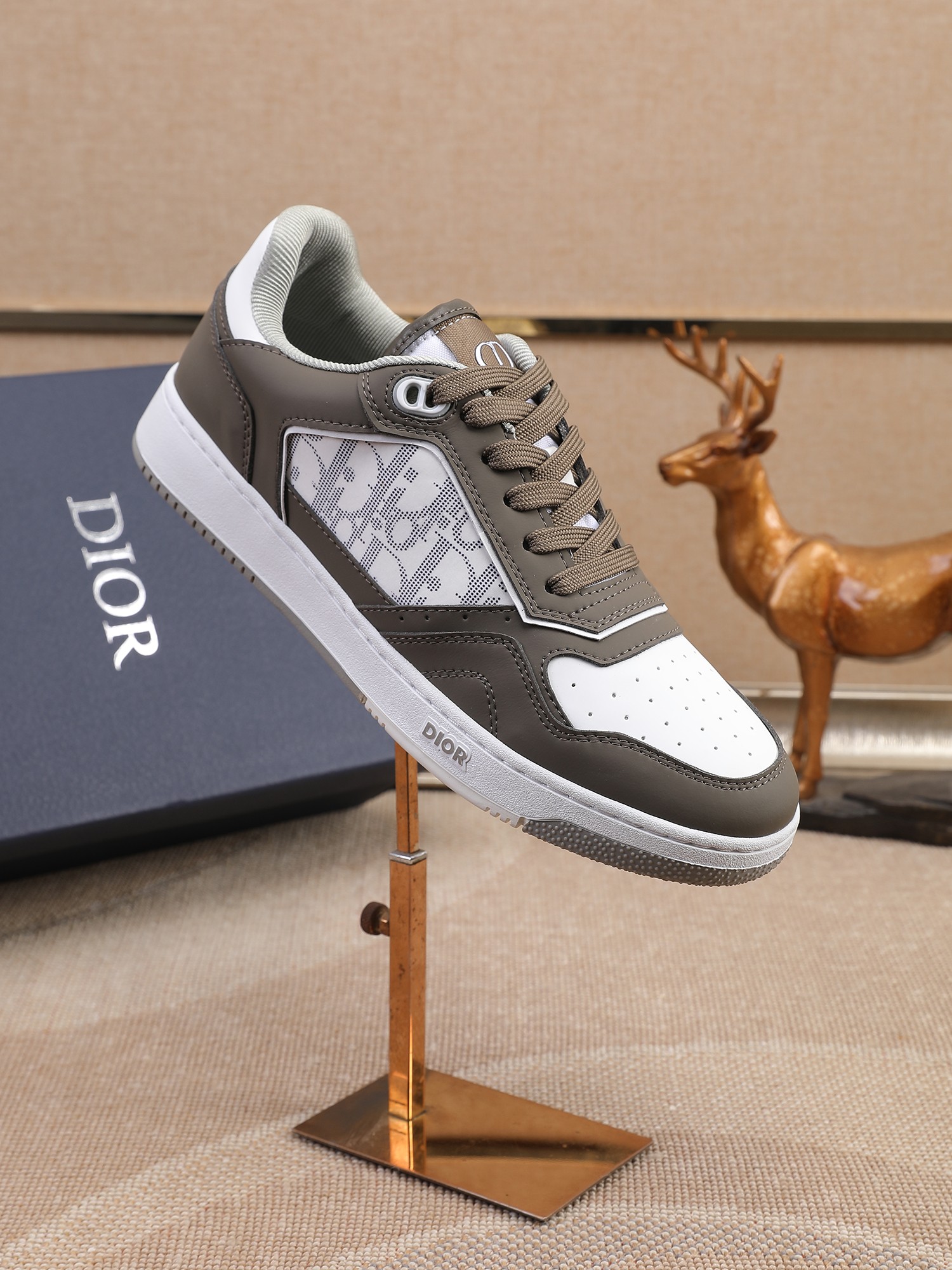 Dior shoe