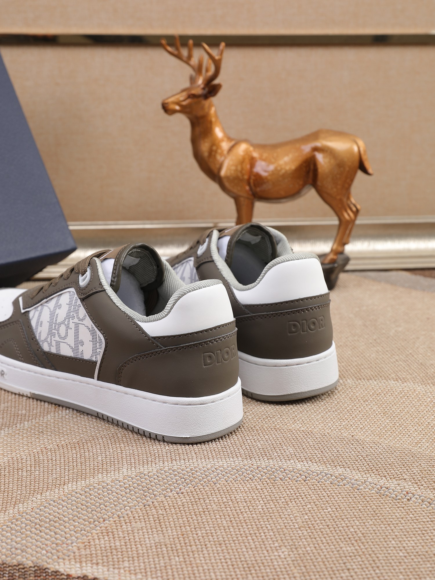 Dior shoe