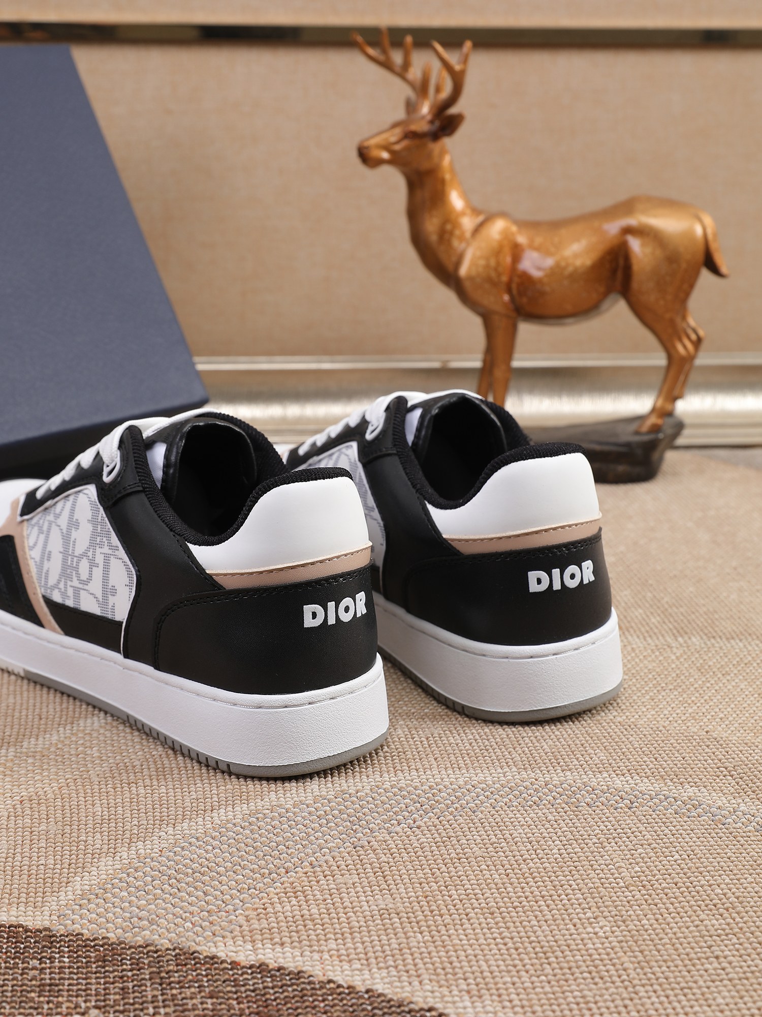 Dior shoe