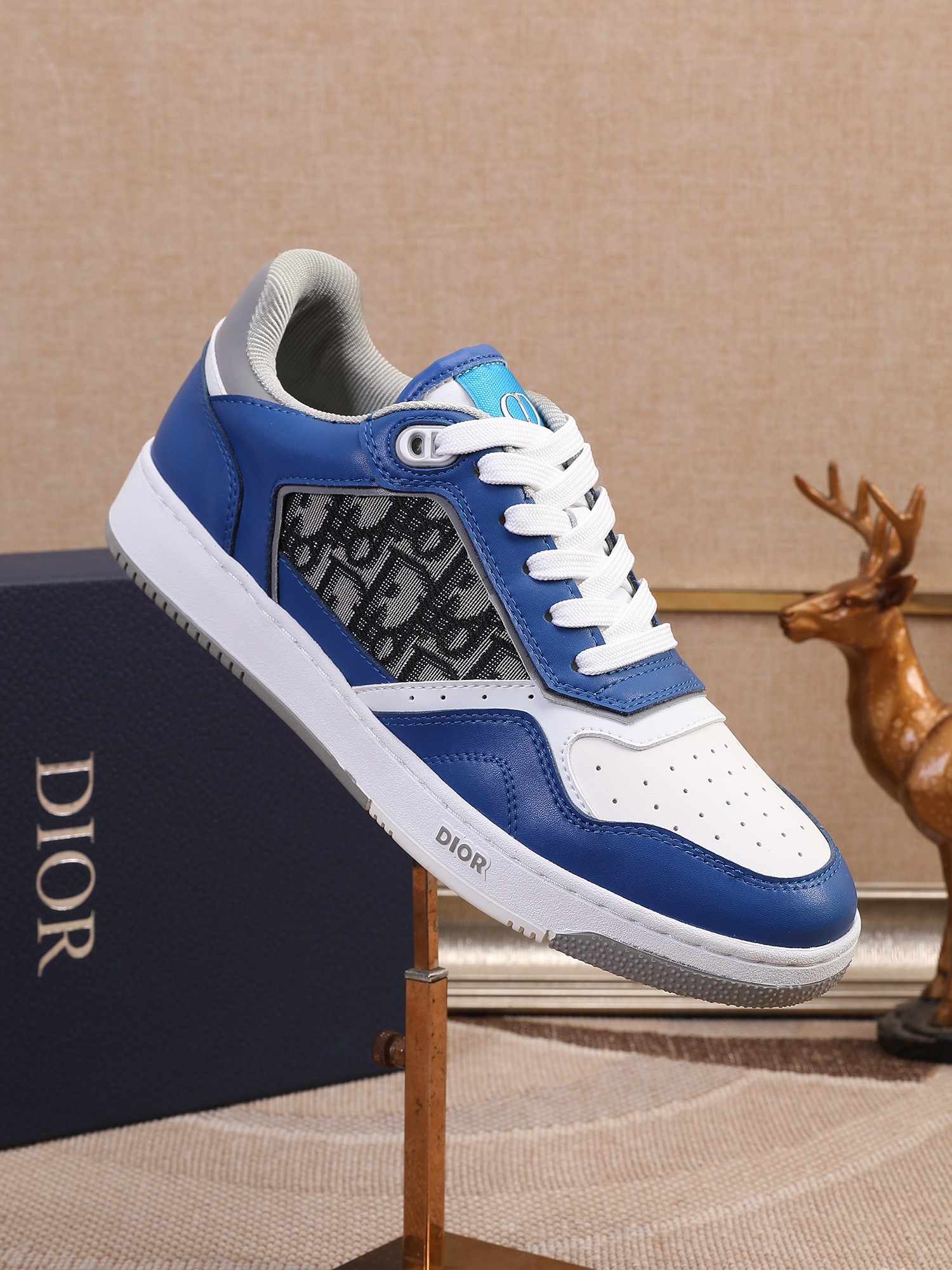 Dior shoe